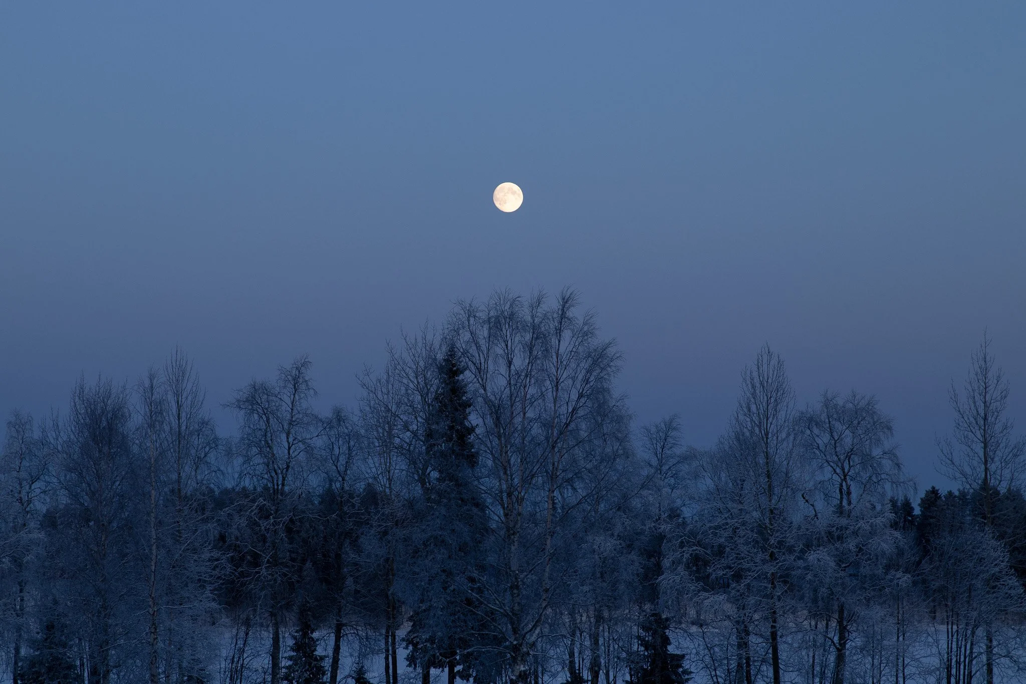 The February Full Moon: Visibility, Values &amp; Saying the Quiet Part Out Loud