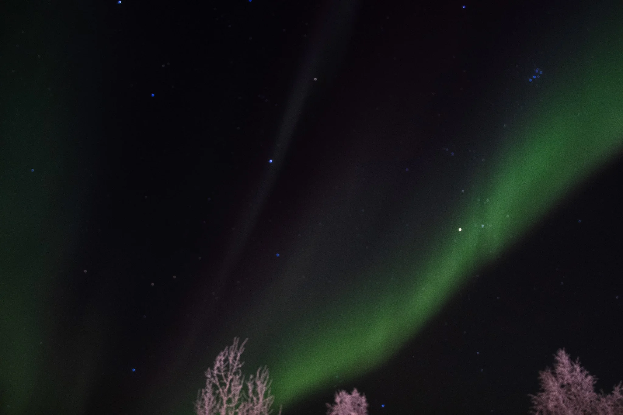 Aligned Action Over Forced Acceleration