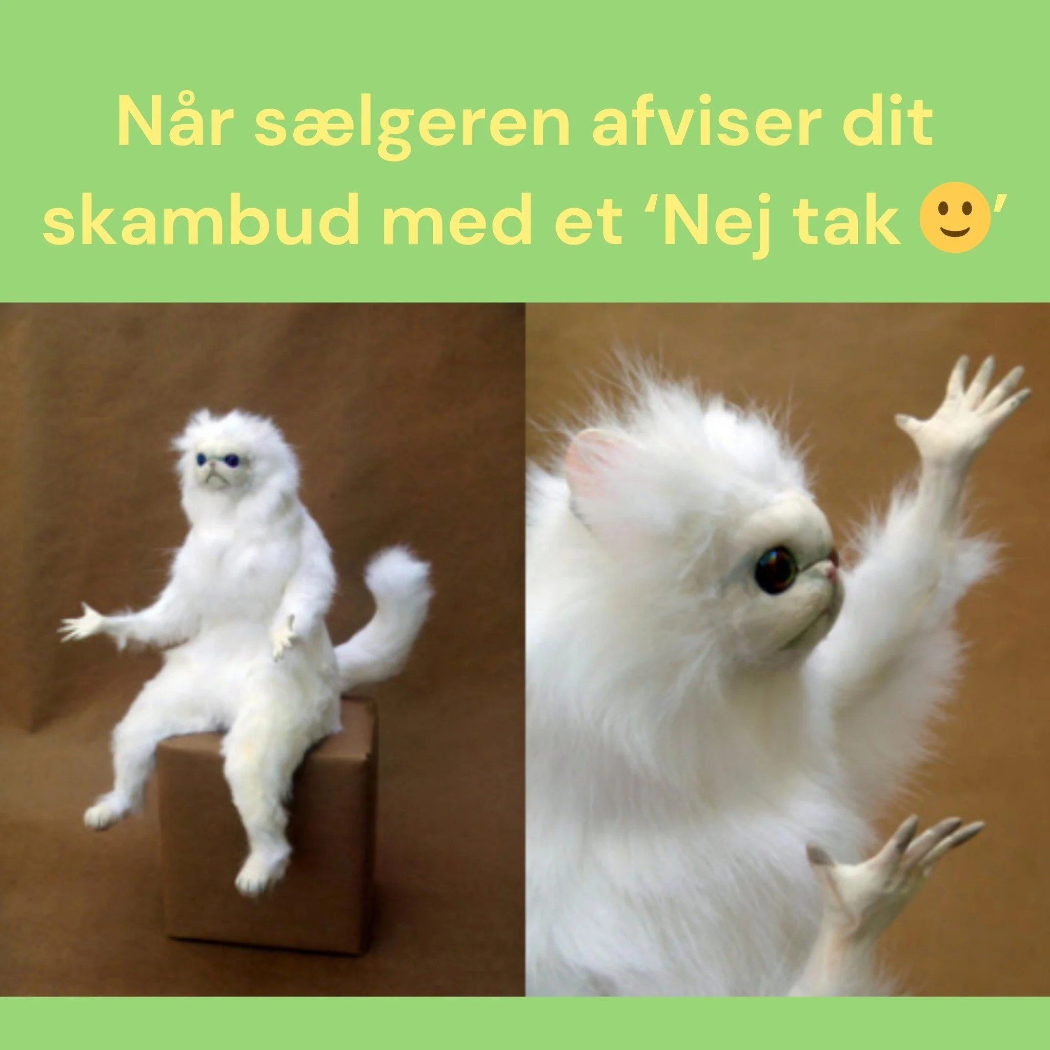 Altid 5 kr. under prisen! 🤝🏼

#guloggratis #memes #genbrugsshopping #genbrugsk&oslash;b #memelife #danskememes #genbrugssalg #genbrugsgl&aelig;de #danmark