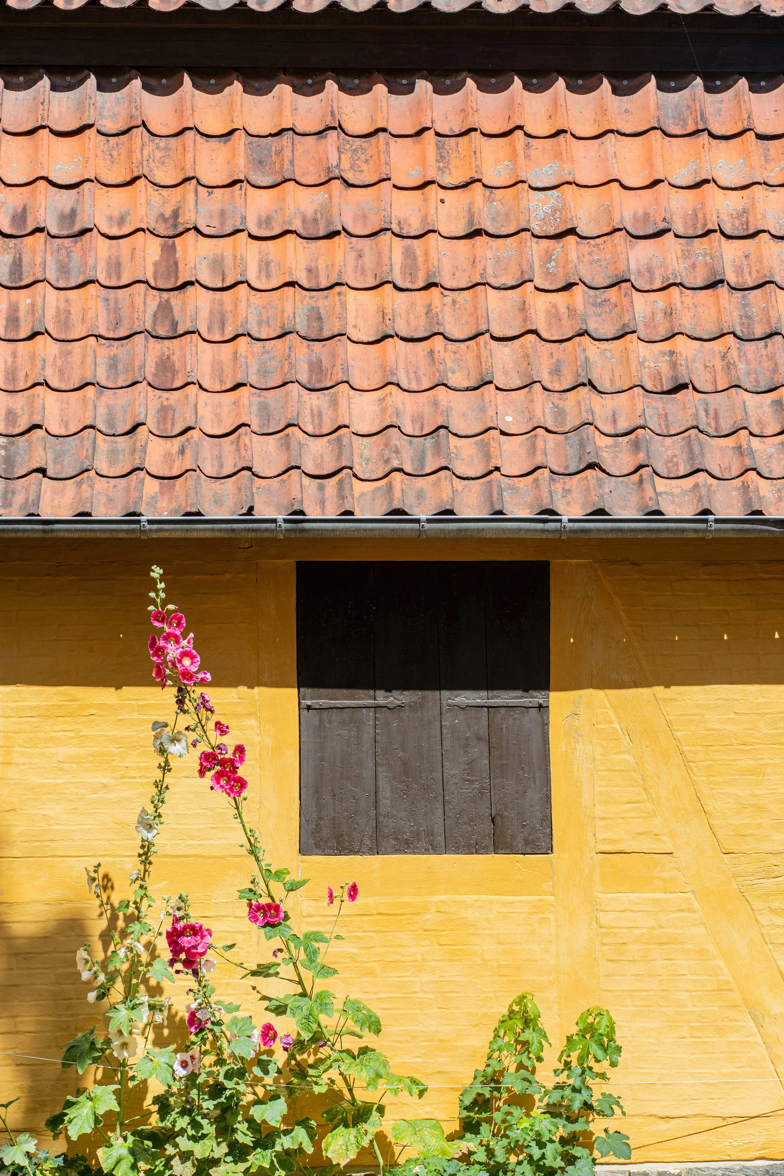 glen-michaelsen-ZsZZ9J4J1uU-unsplash.jpeg