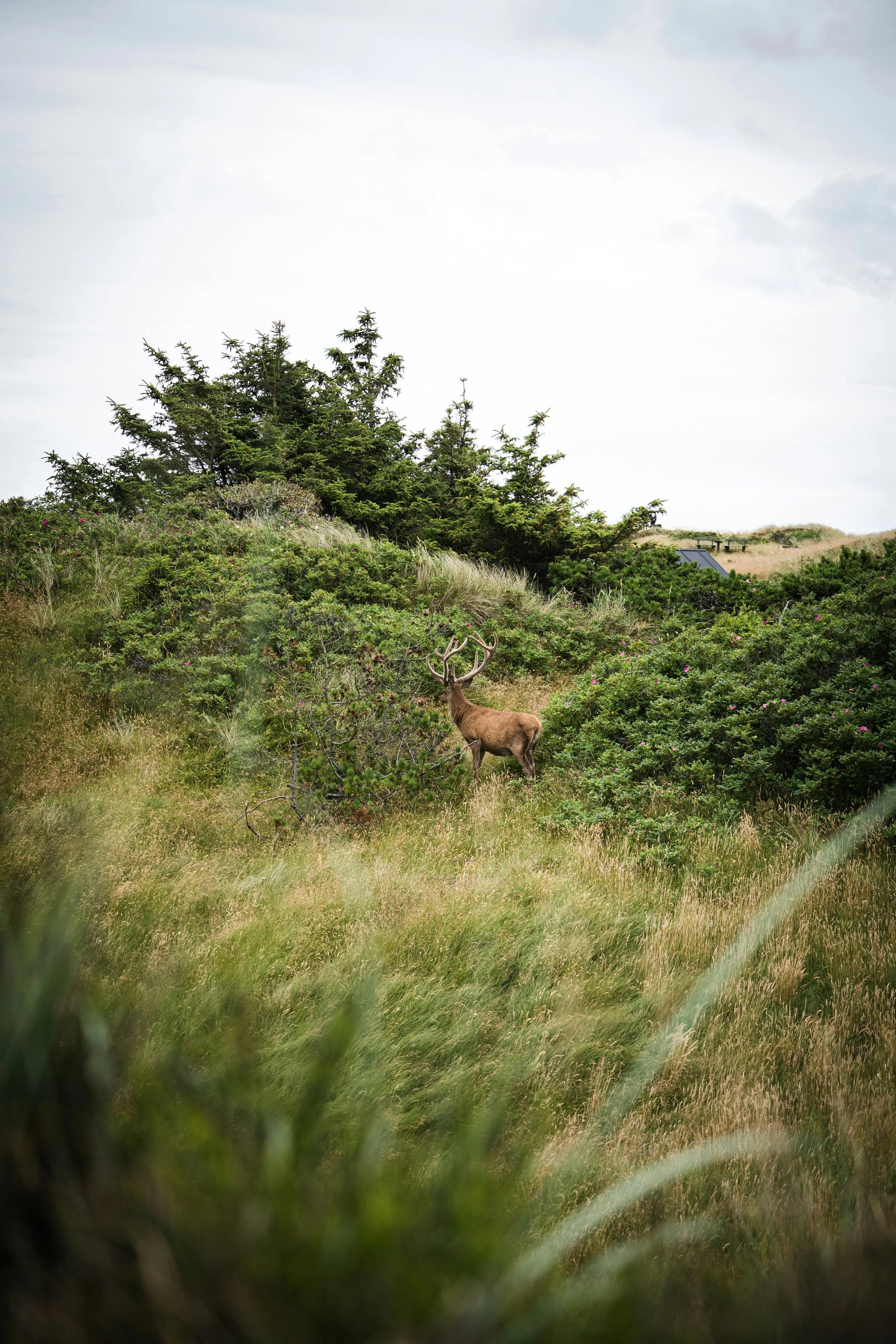 peter-conlan-DTpk9W_g9II-unsplash.jpeg