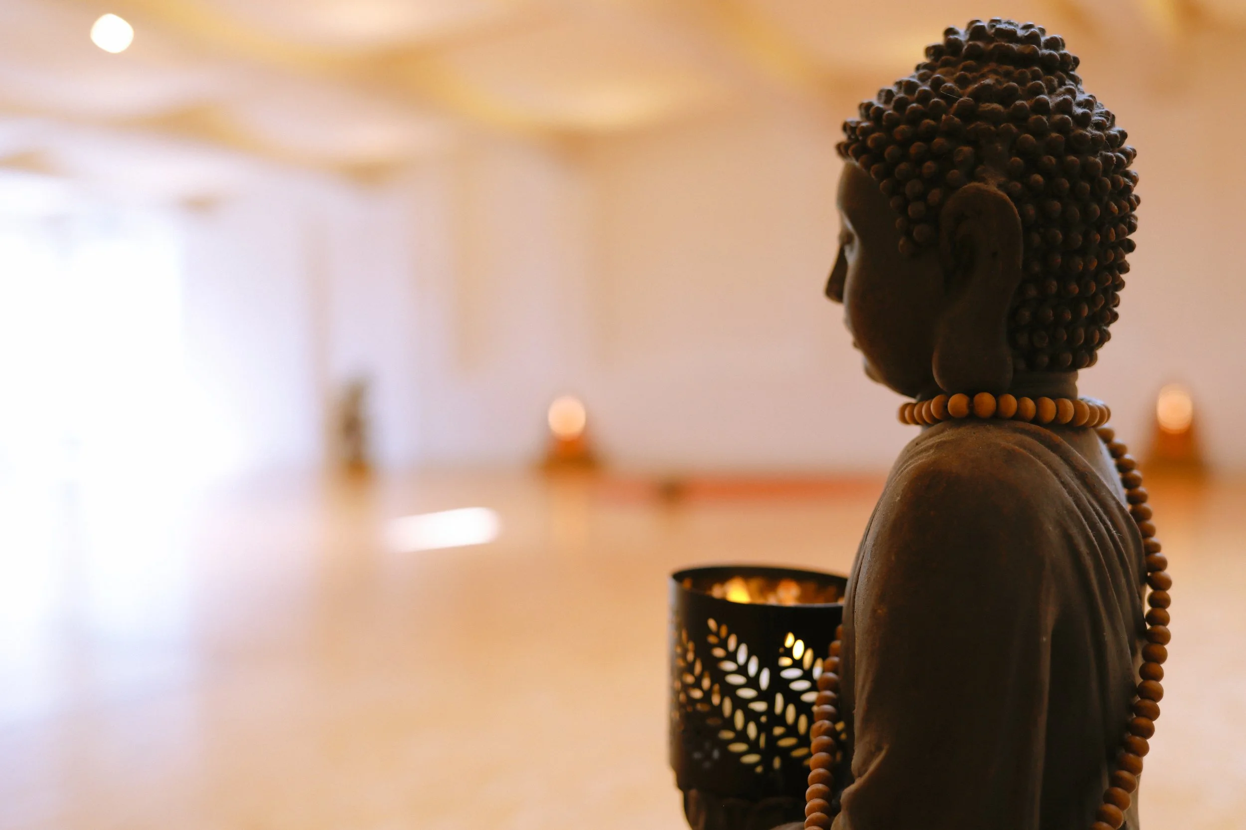 yogashala-52.jpg