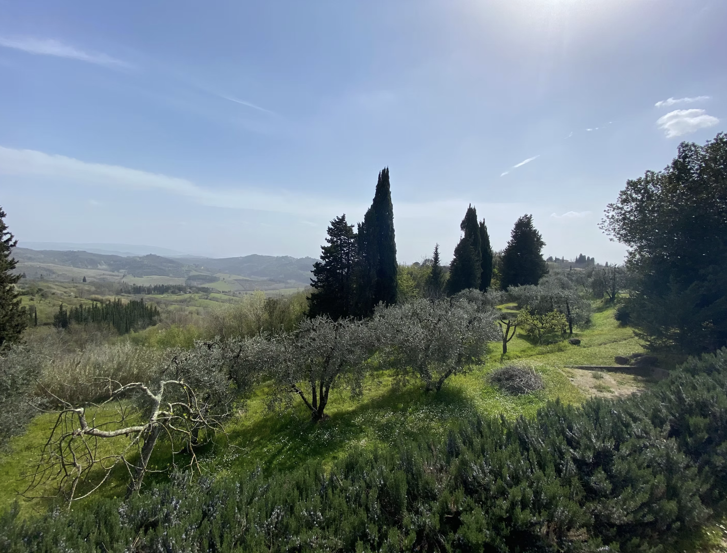 Screenshot 2026-03-25 at 12.21.16.png