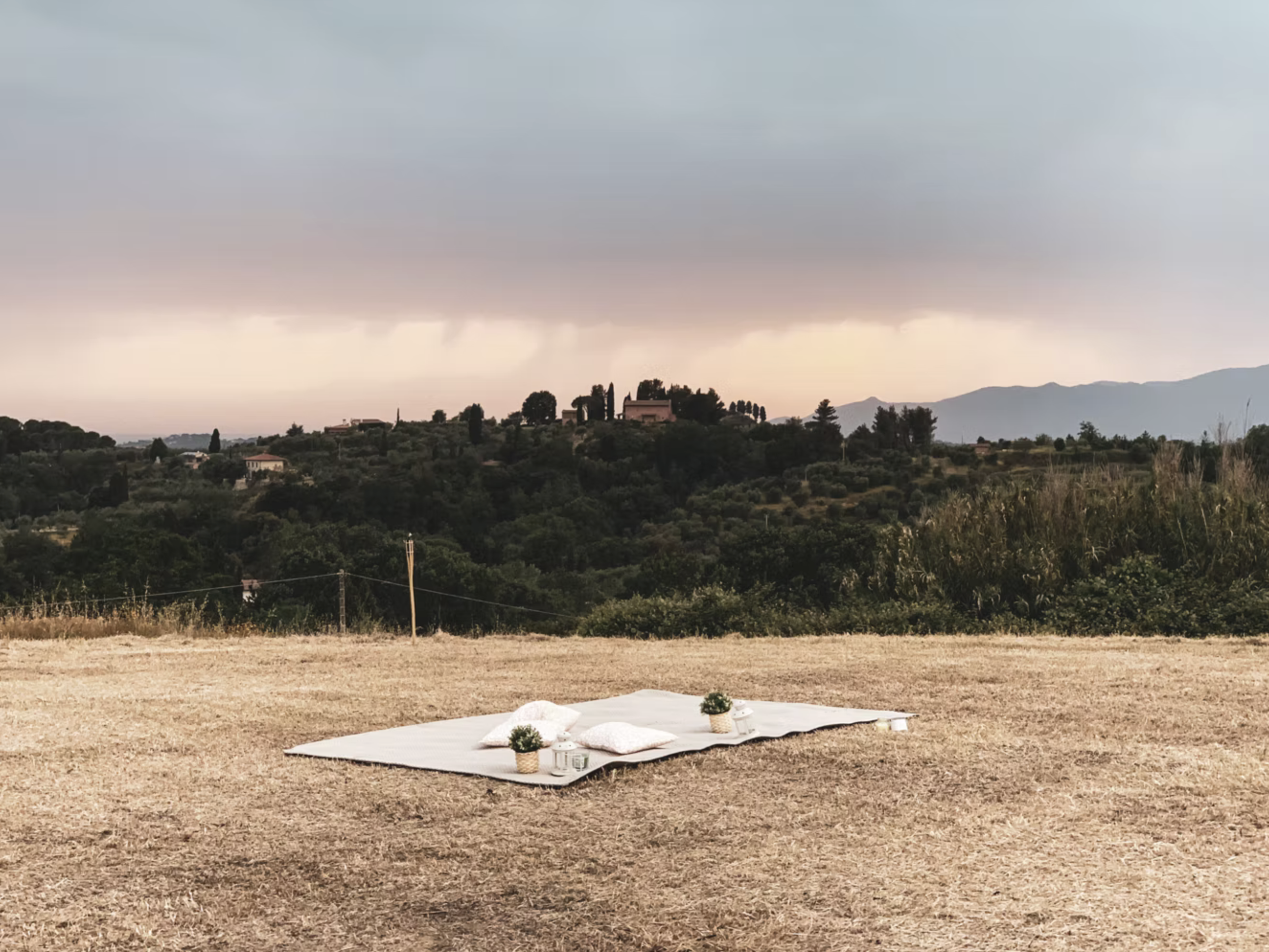 Screenshot 2026-03-25 at 12.22.33.png