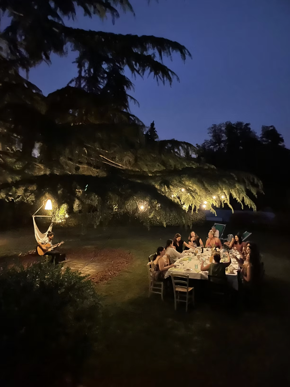 Screenshot 2026-03-25 at 12.25.27.png