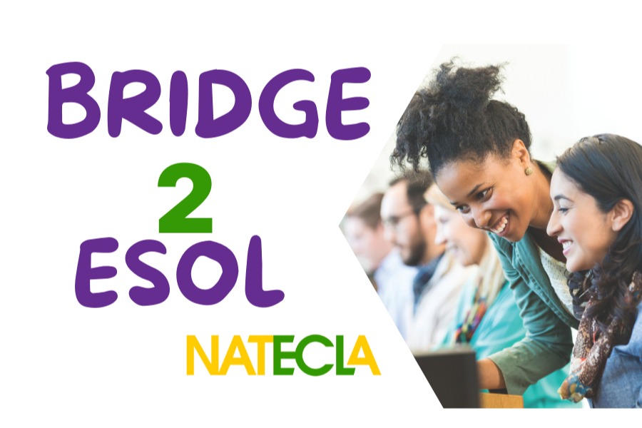 NATECLA´s New Course:  Bridge to ESOL