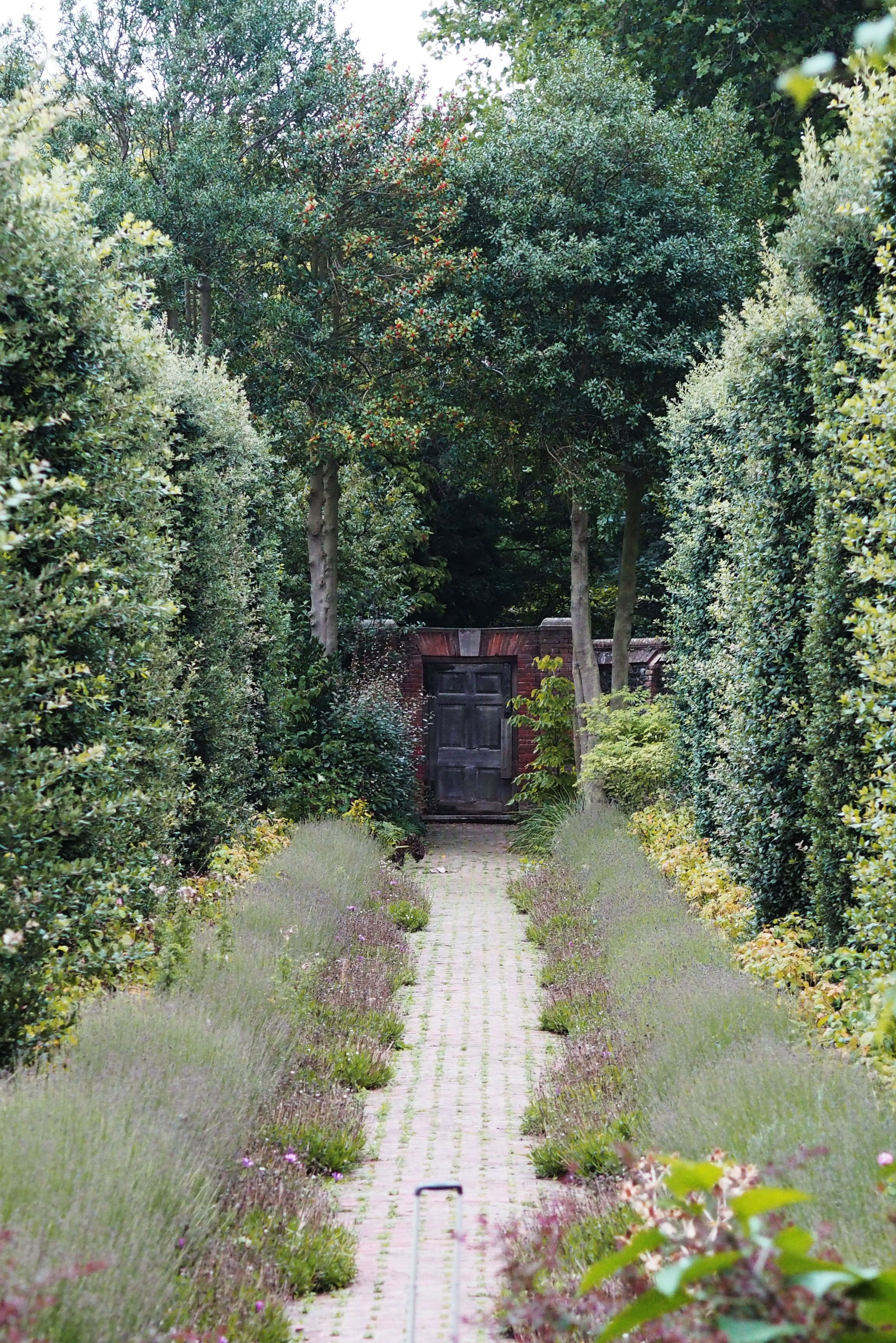 salutation-path-allee-sep-18.jpeg