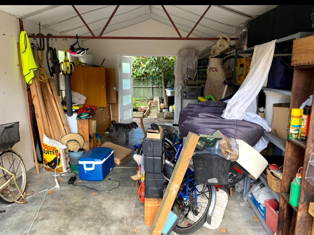 SortmyHome_Before_Shed1