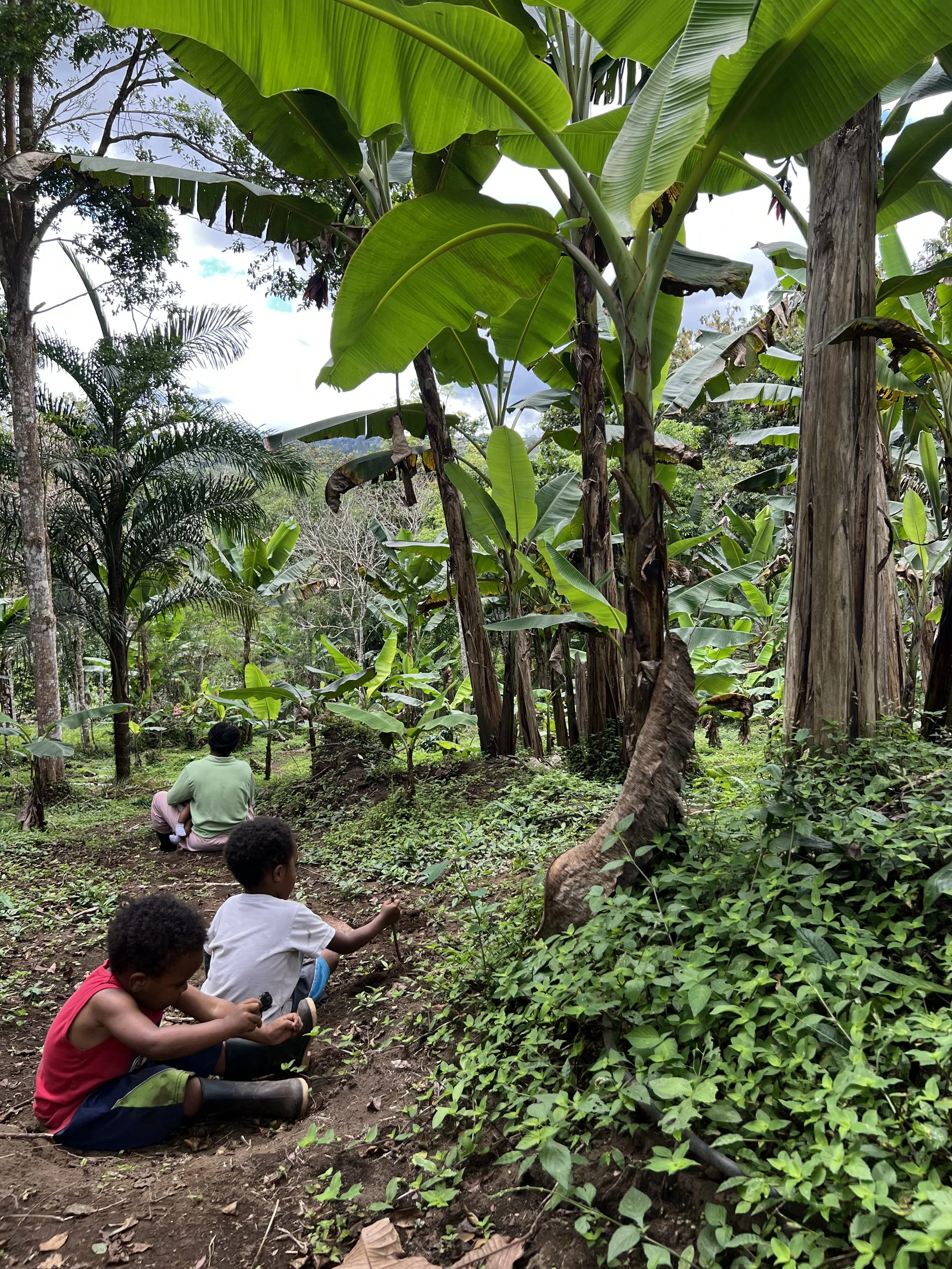 Our Family’s Healing Evolution