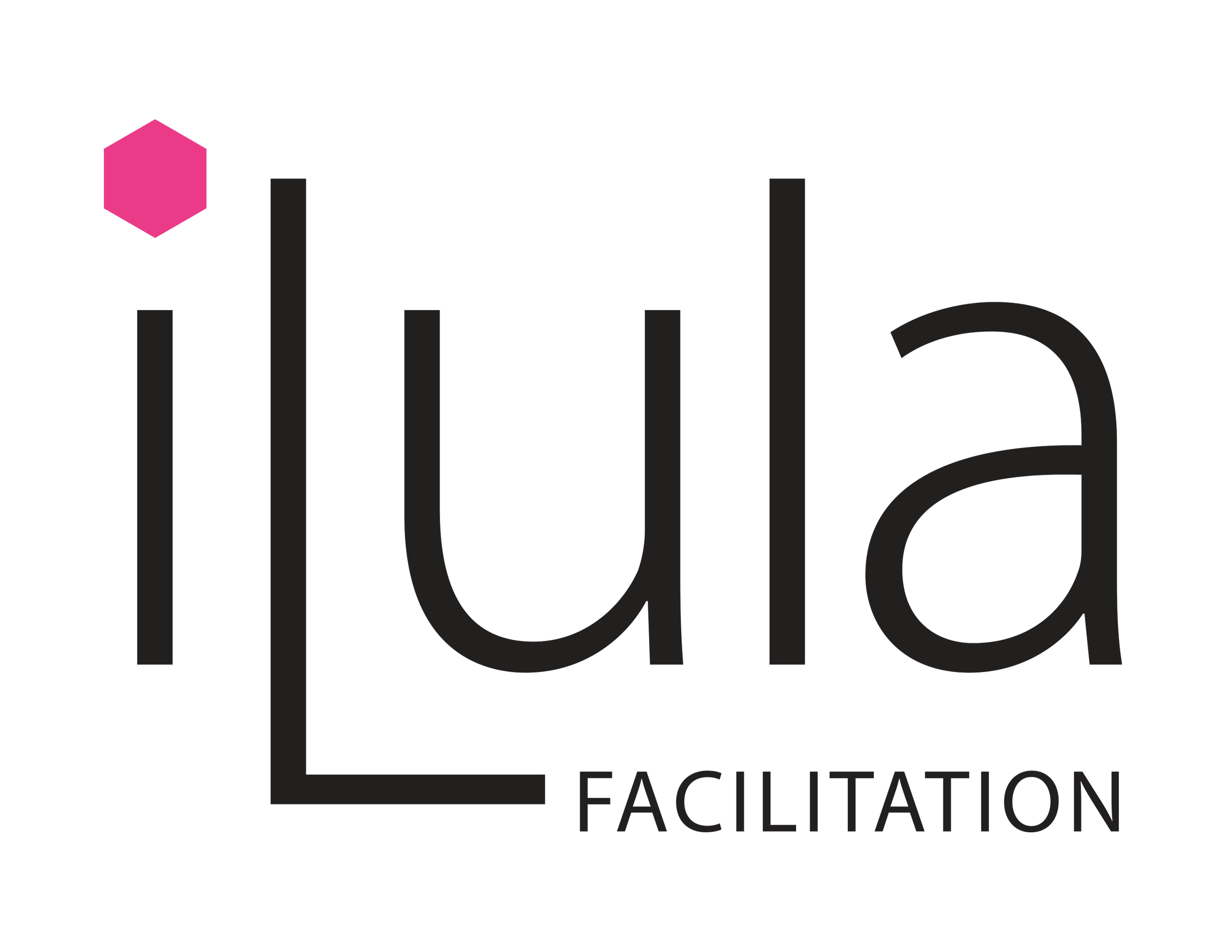 Logo mit dem Text 'iLula Facilitation' und einem pinken Sechseck.