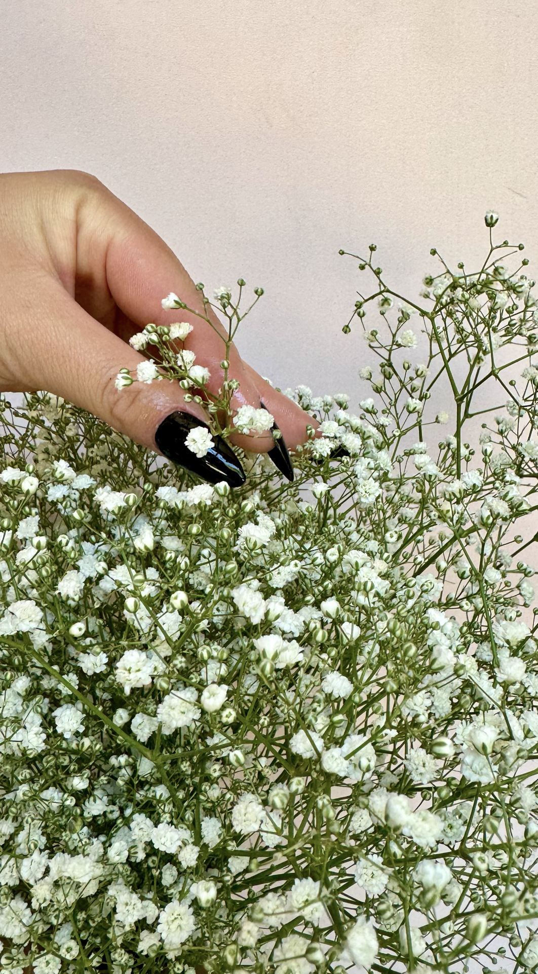 BeautyBliss_01.png