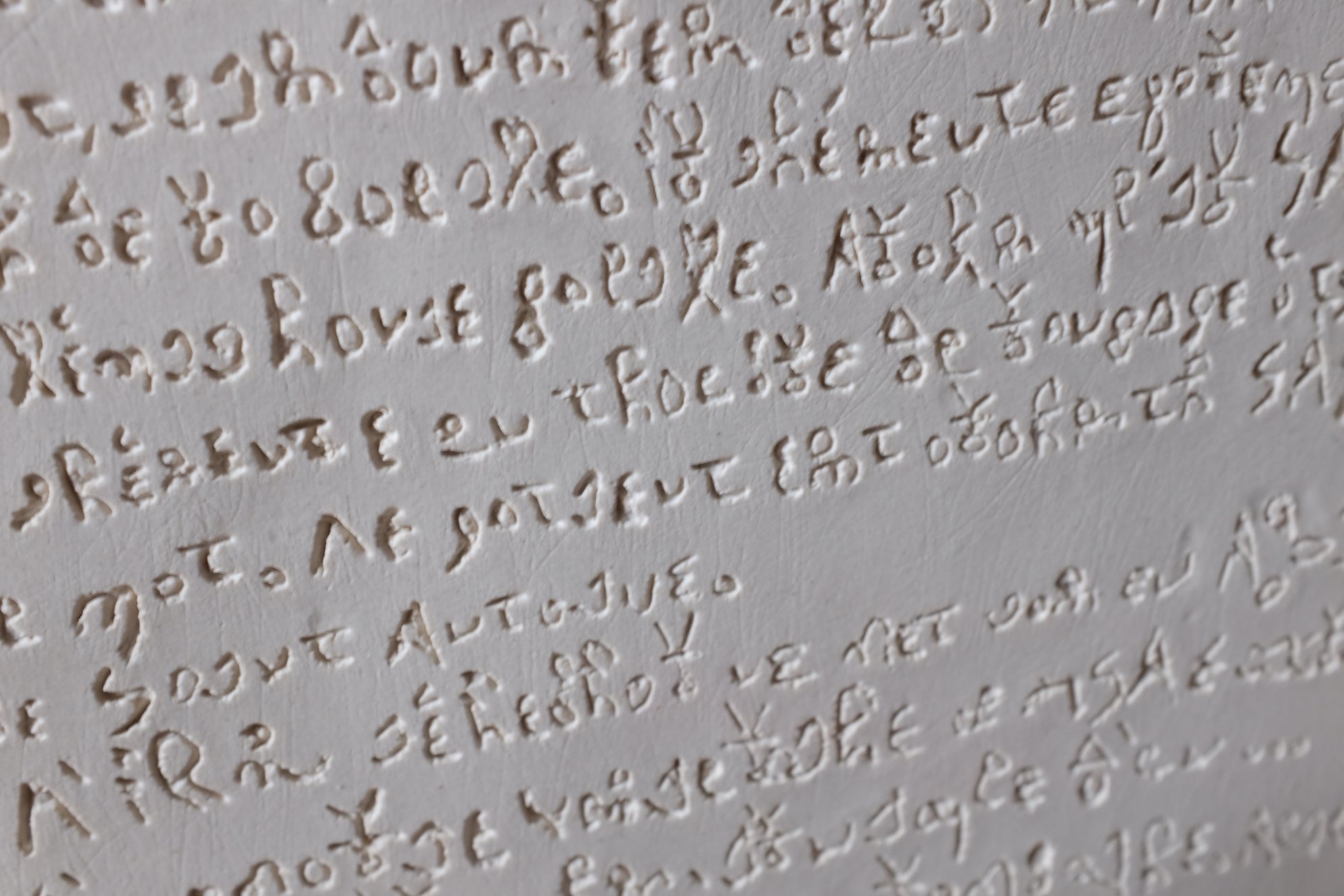 aurèce vettier - we will make you bow to the delicate 2.jpeg