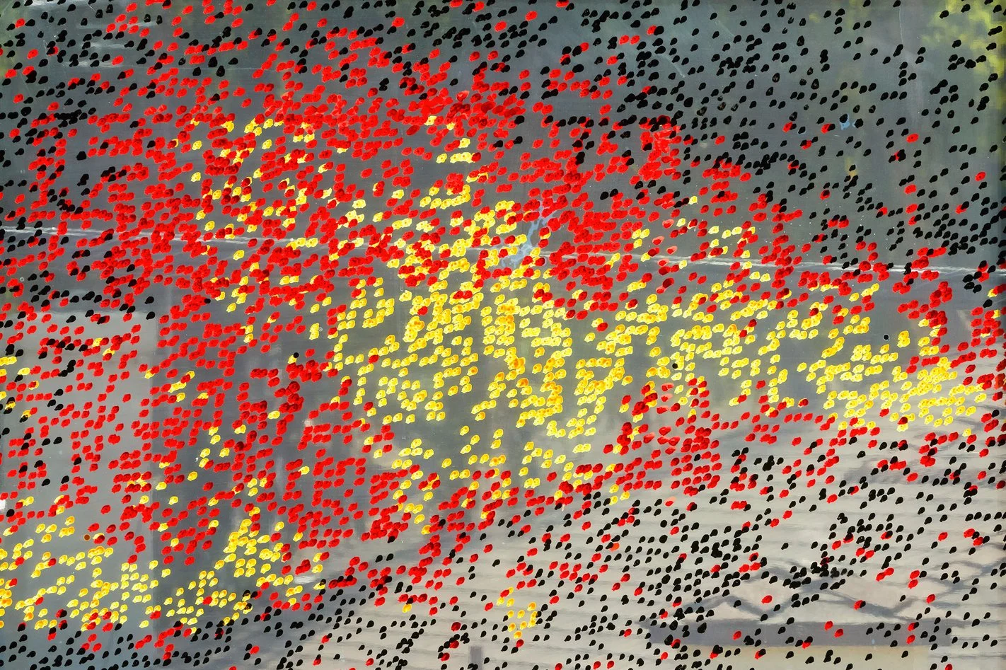 Liat Segal - Hyperreality 1.jpeg