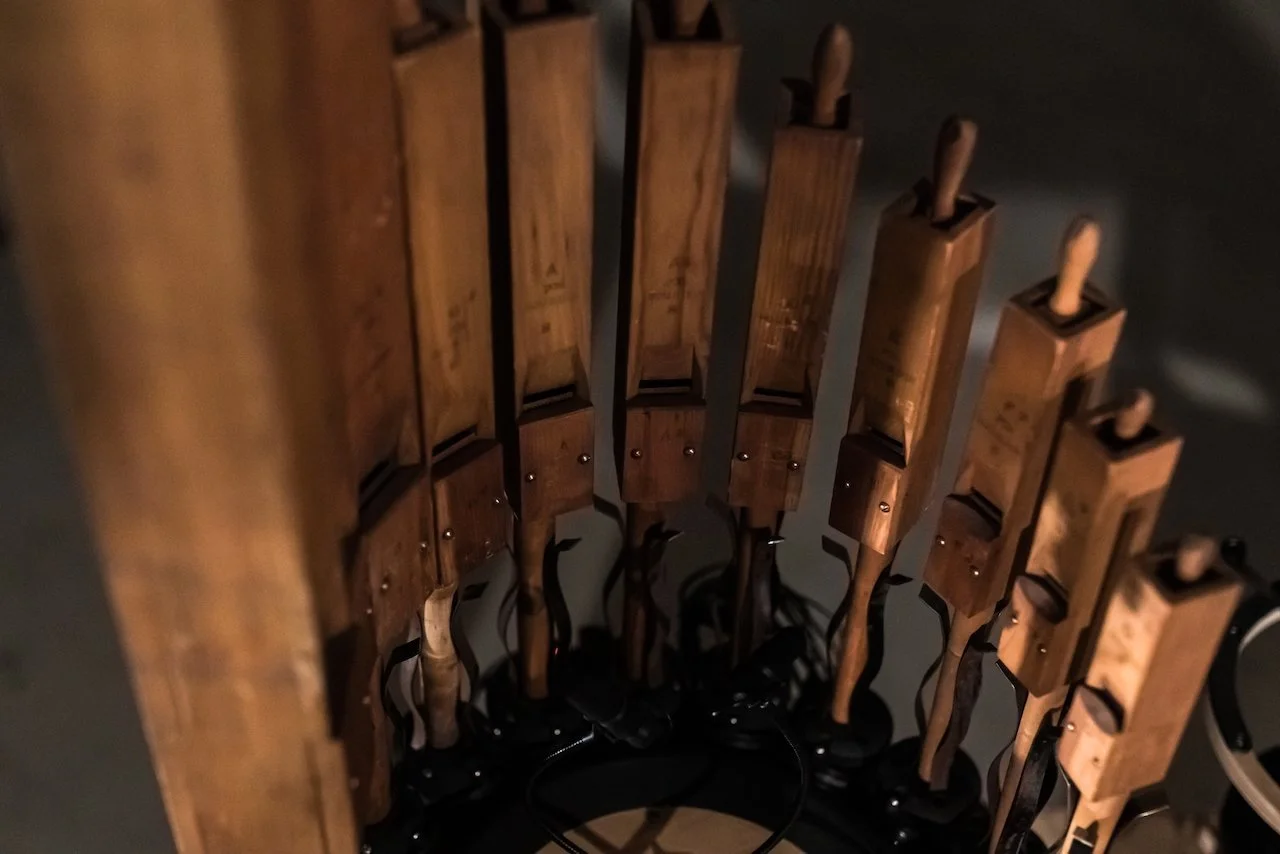 Organism Navid Navab 5 .jpeg