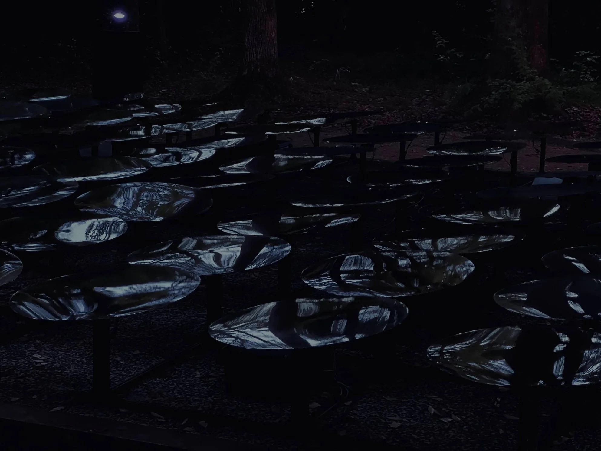 Scatteredscapes SPEKTRA 1.jpeg