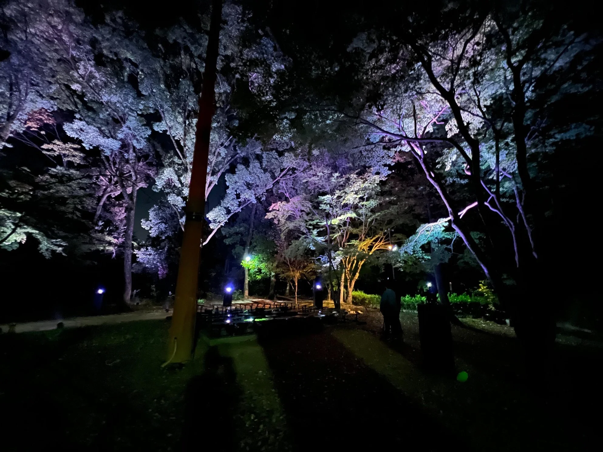 Scatteredscapes SPEKTRA 2.jpeg