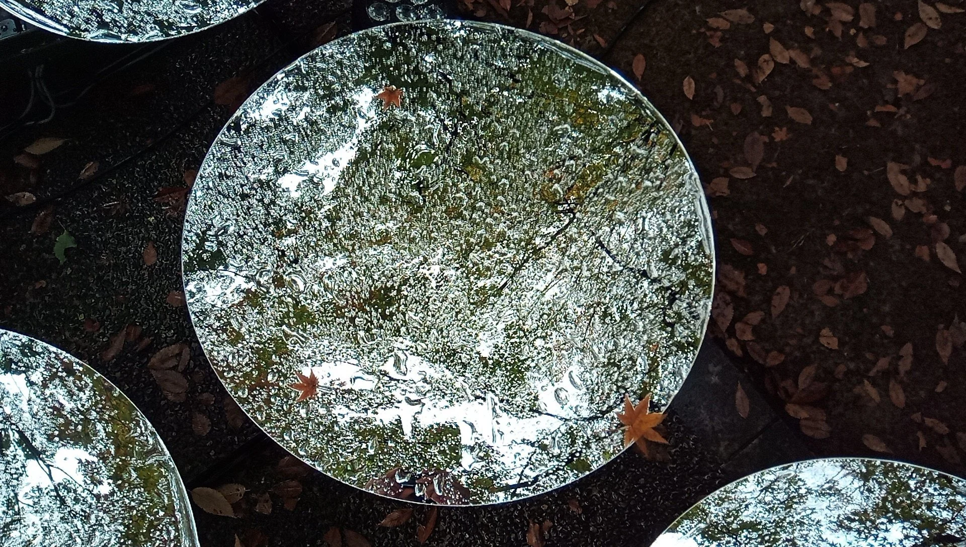 Scatteredscapes SPEKTRA 3.jpeg