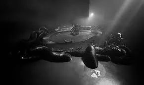 Umweltraum((a)) Laura Mannelli 1.jpeg