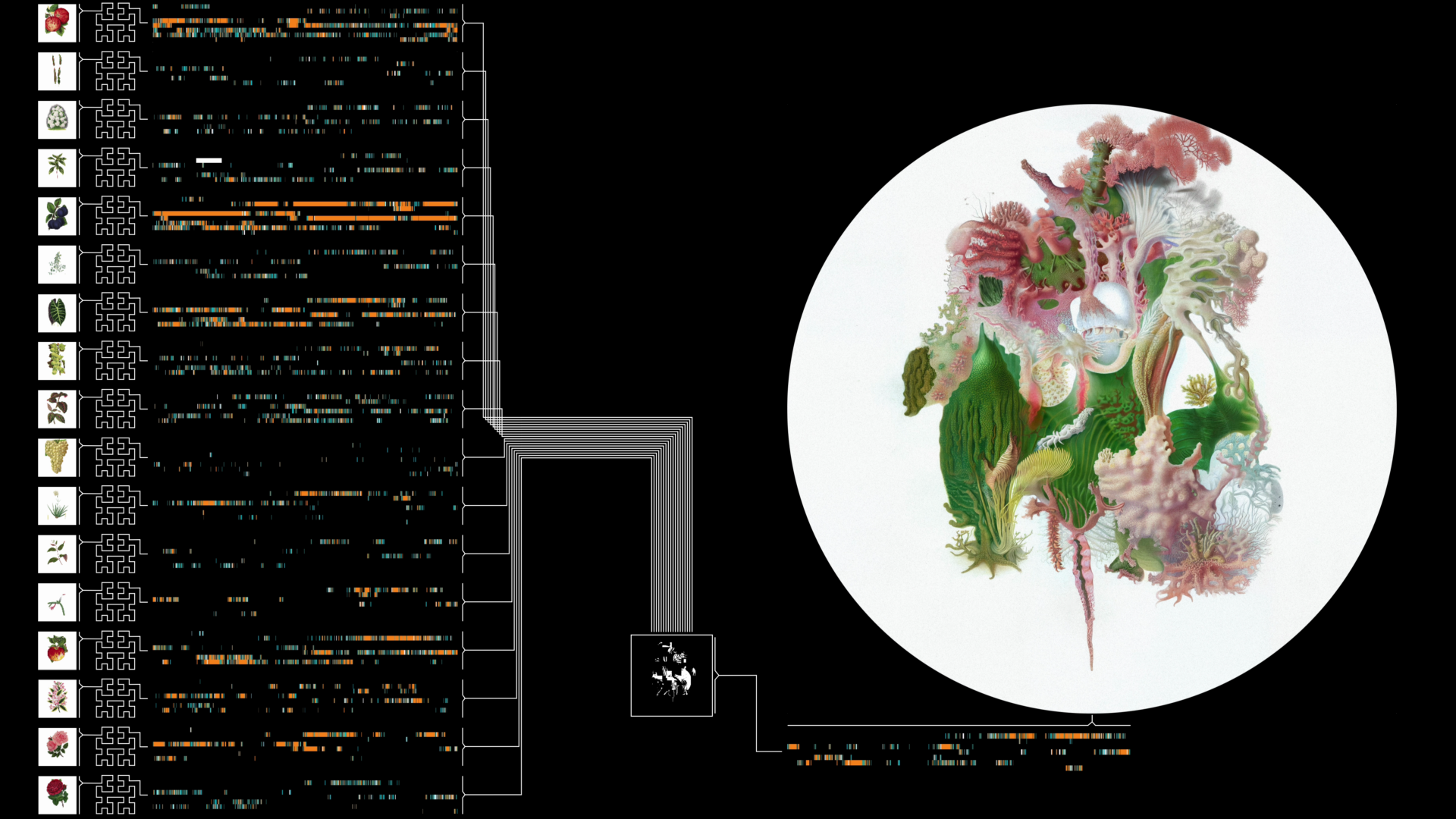 Entangled Others - Self Contained.png