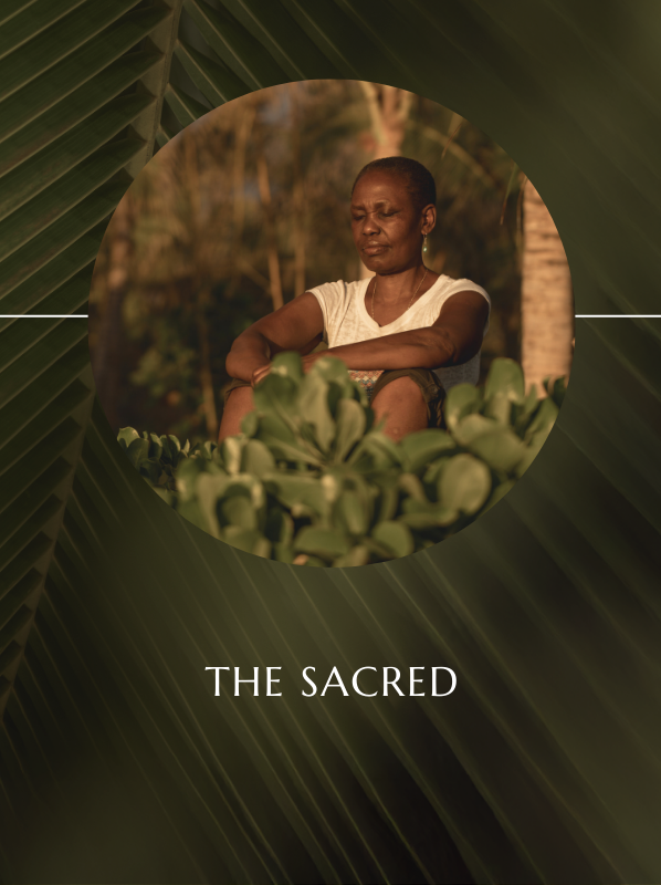 Sacred ceremony (no medicine) to anchor our intentions and ripen the field.