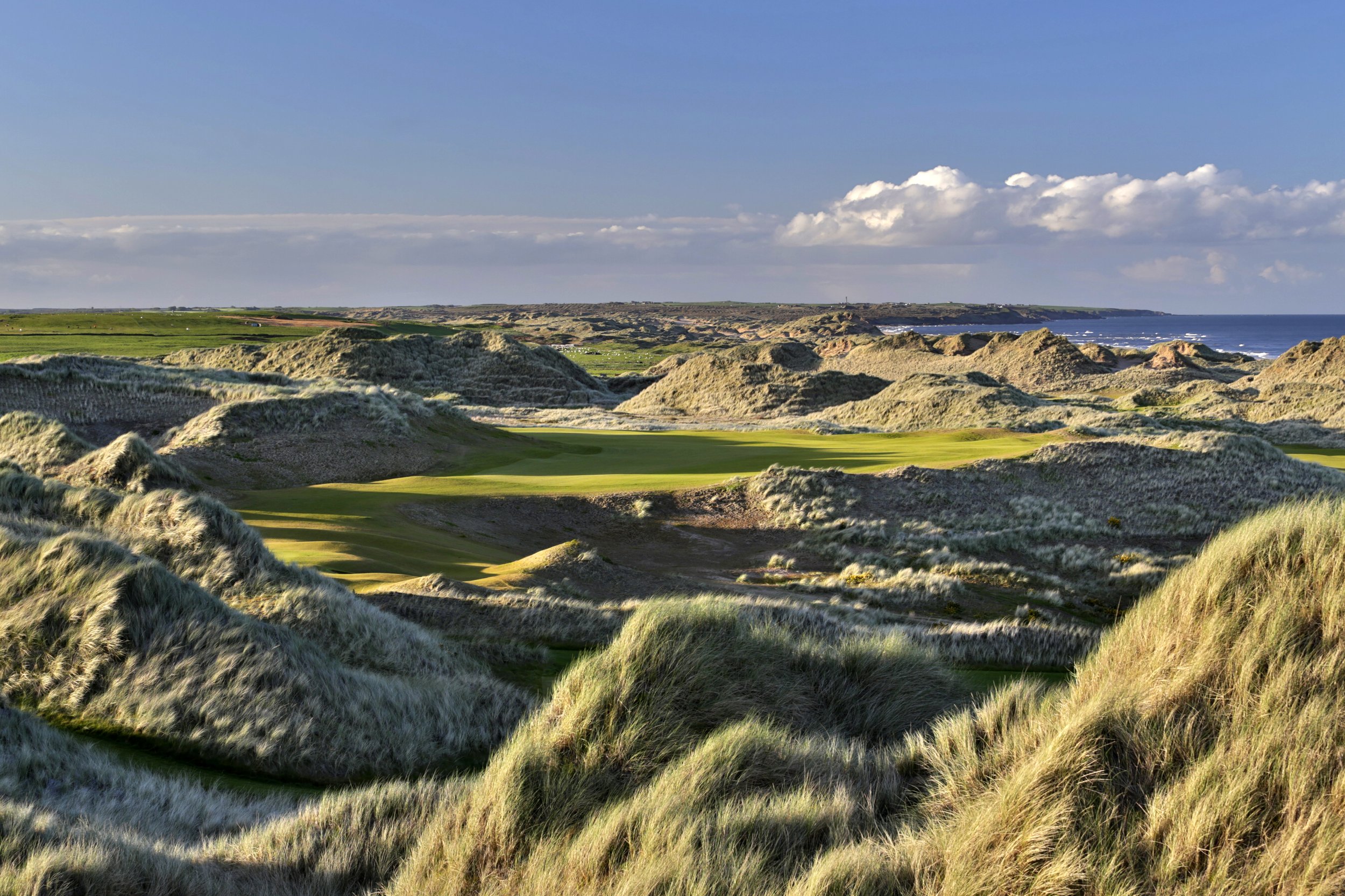 12th green and 13th tee.jpg