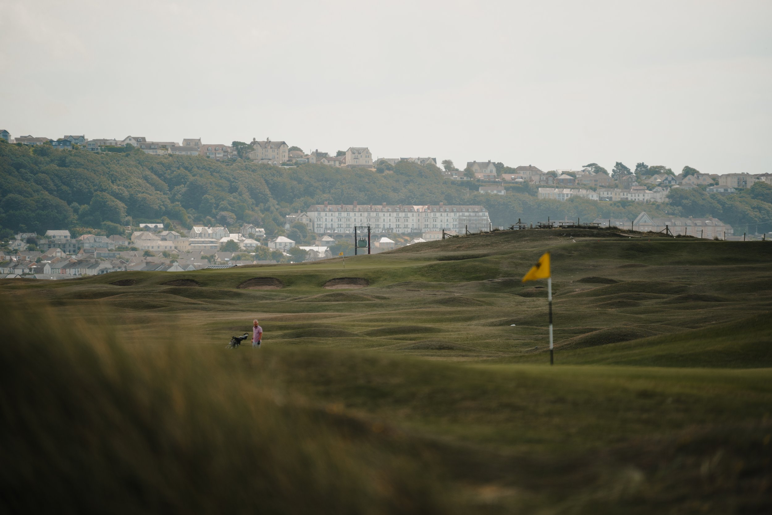 6th foreground 5th background.jpg