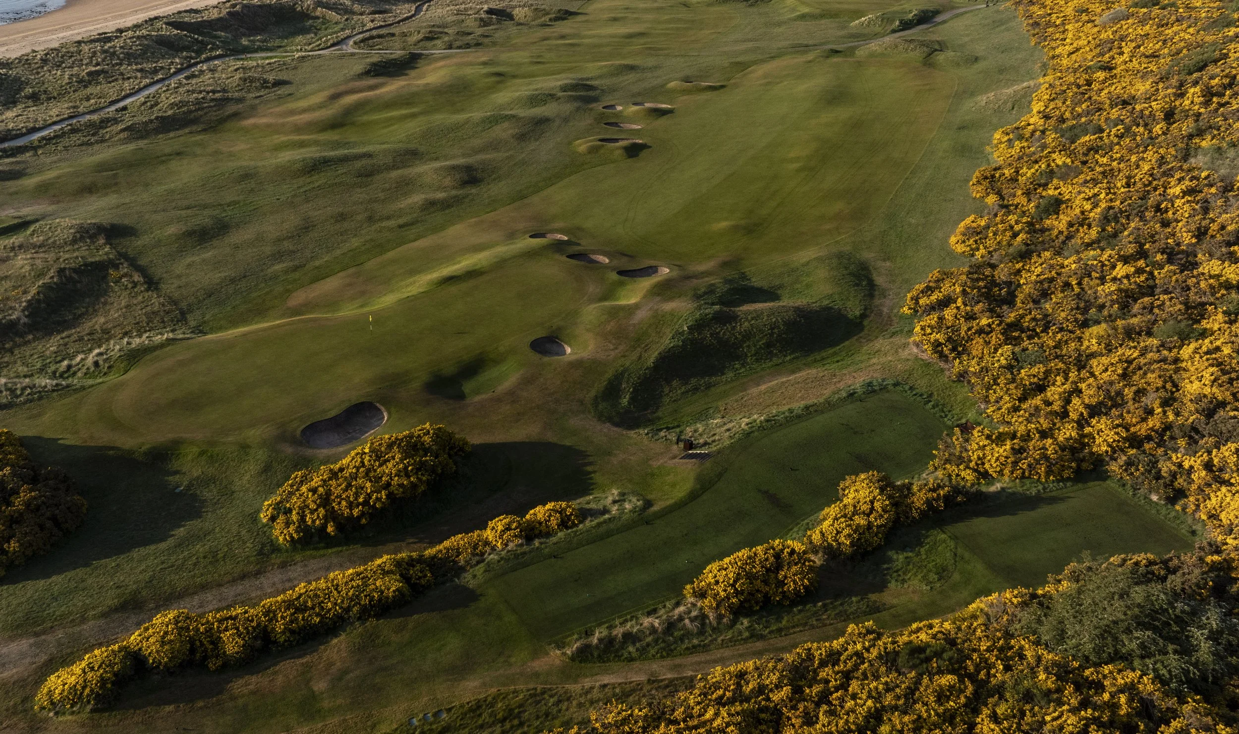 ©Mharris_RDchamps_5th_par4_0168_D.jpg