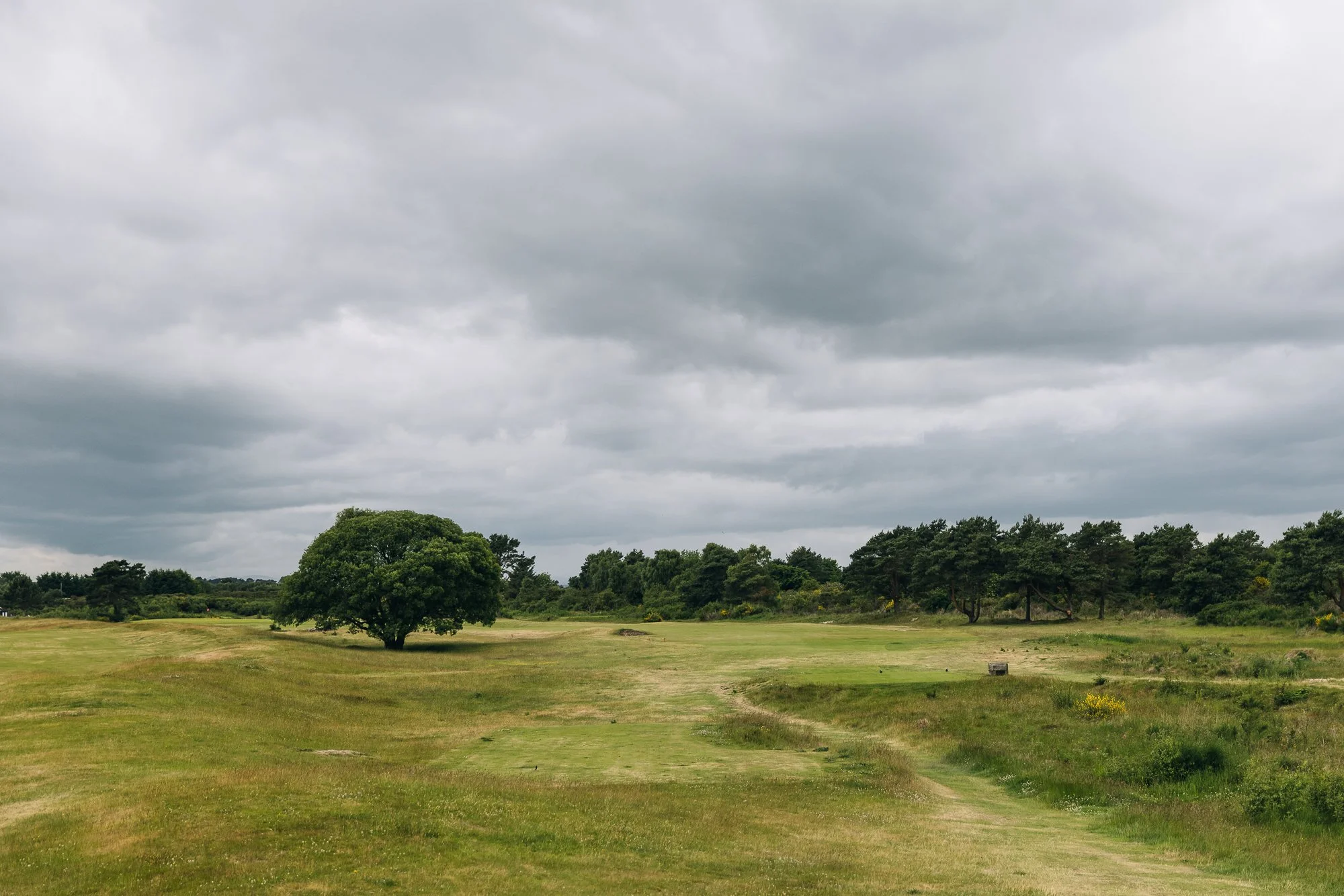 423-CP2_0446.jpg