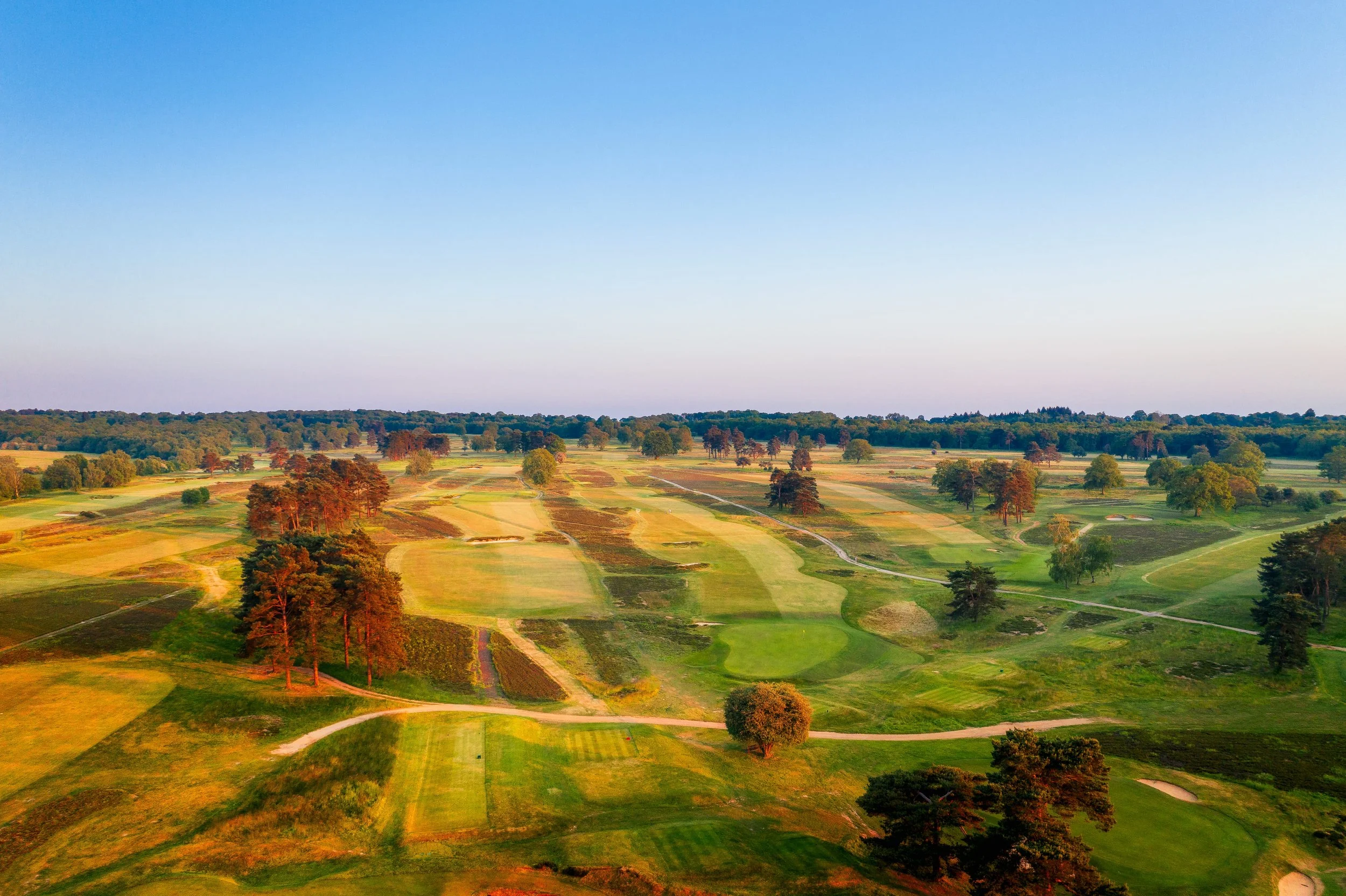 Walton-Heath-Golf-Club-18th tee Old looking up 3rd New and 14th old.jpg