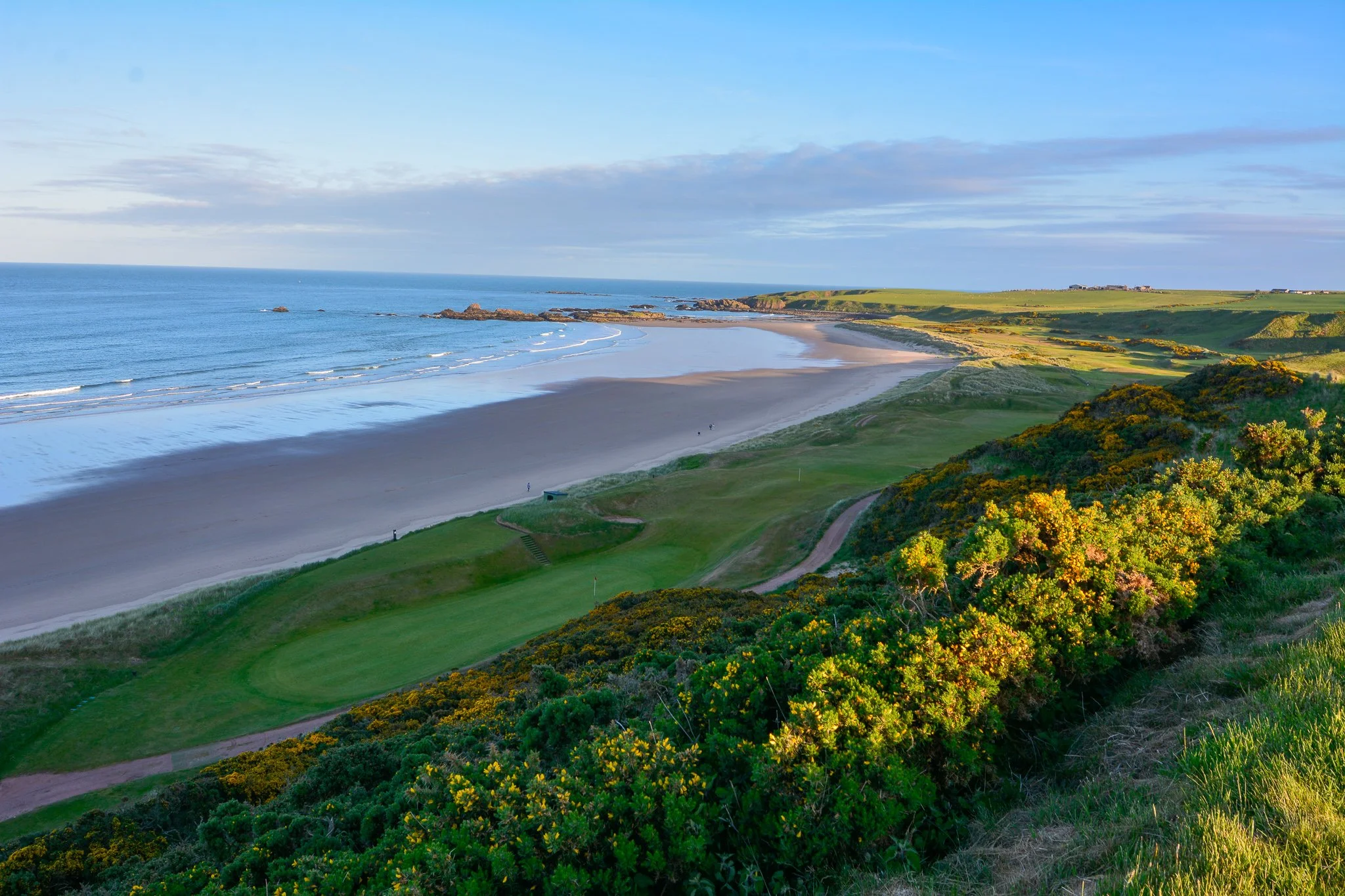 9th tee over 14th & Bay.jpg