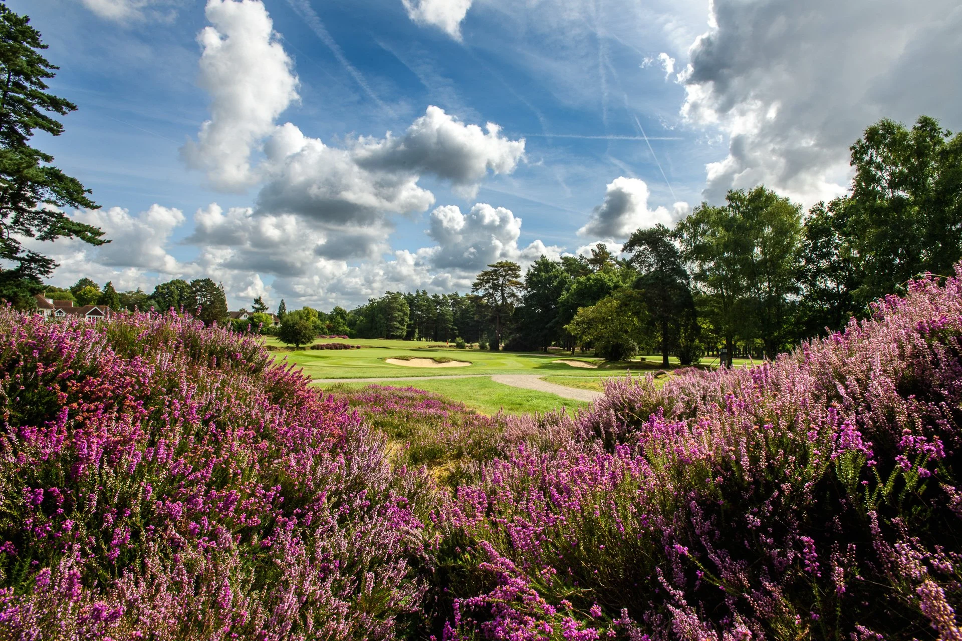 Sunningdale GC  Old Course 13th.jpg
