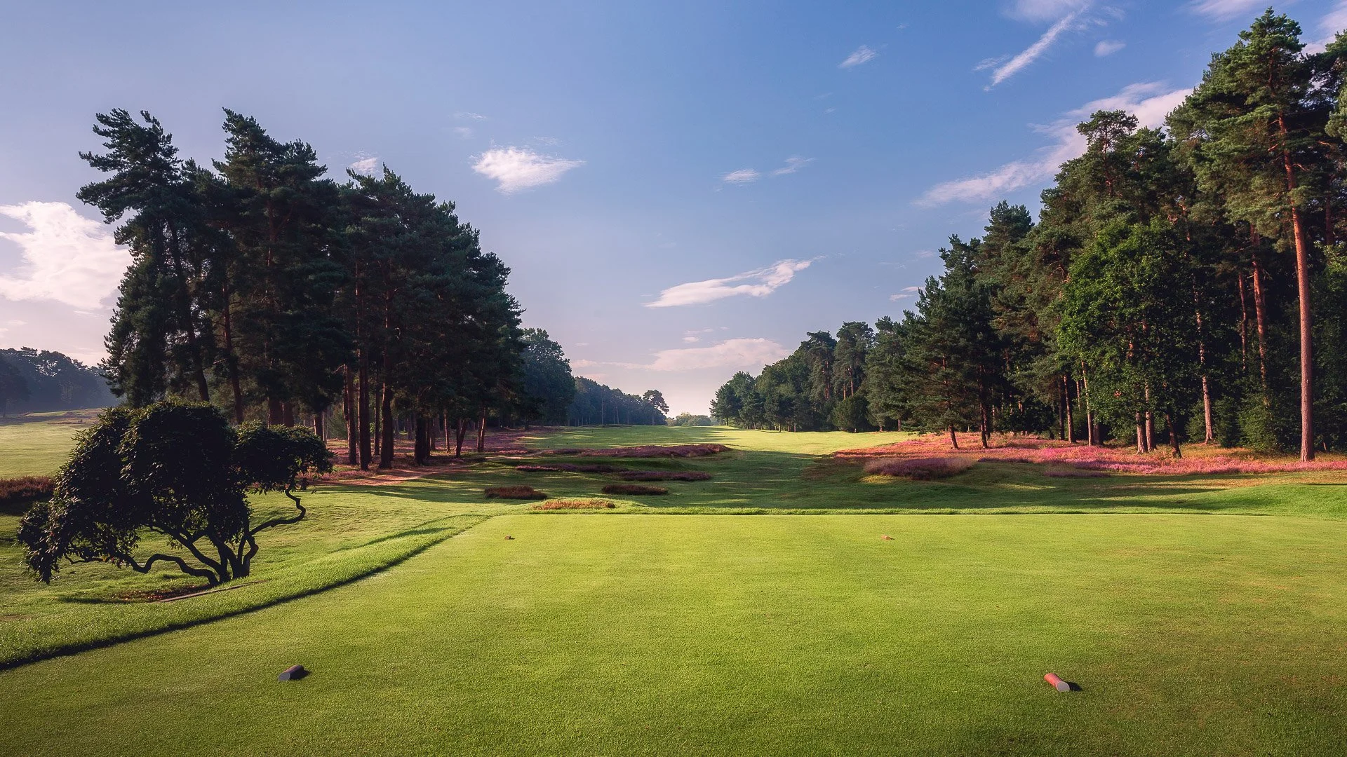 07th-Hole-St-Georges-Hill-Golf-Club-2145-Edit.jpg