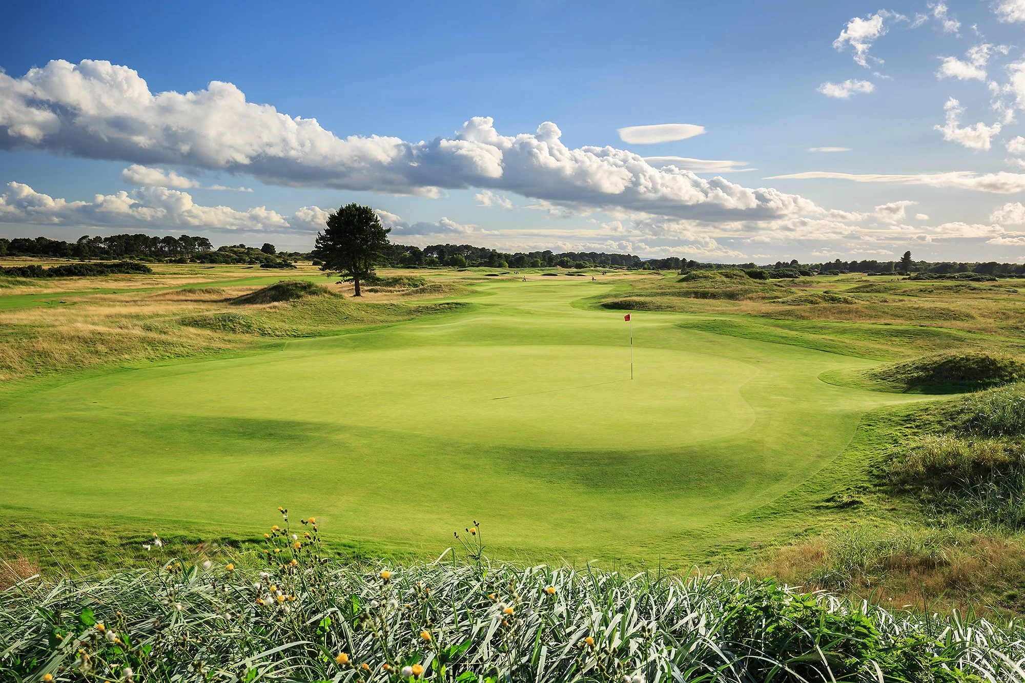 15. The Carnoustie Championship - 15th Hole - Lucky Slap.jpg