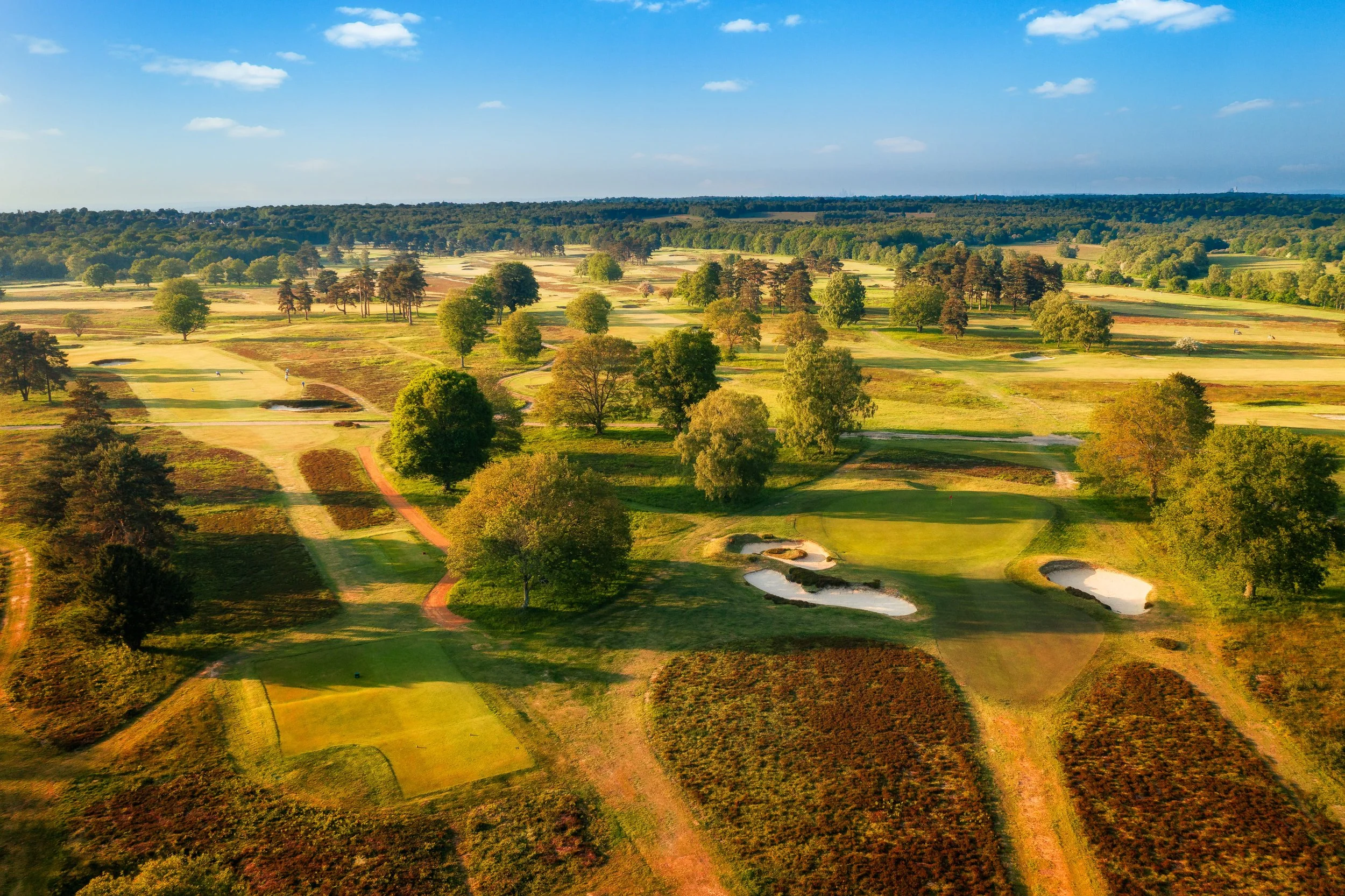 Walton-Heath-Golf-Club-11th New and 10th New green.jpg