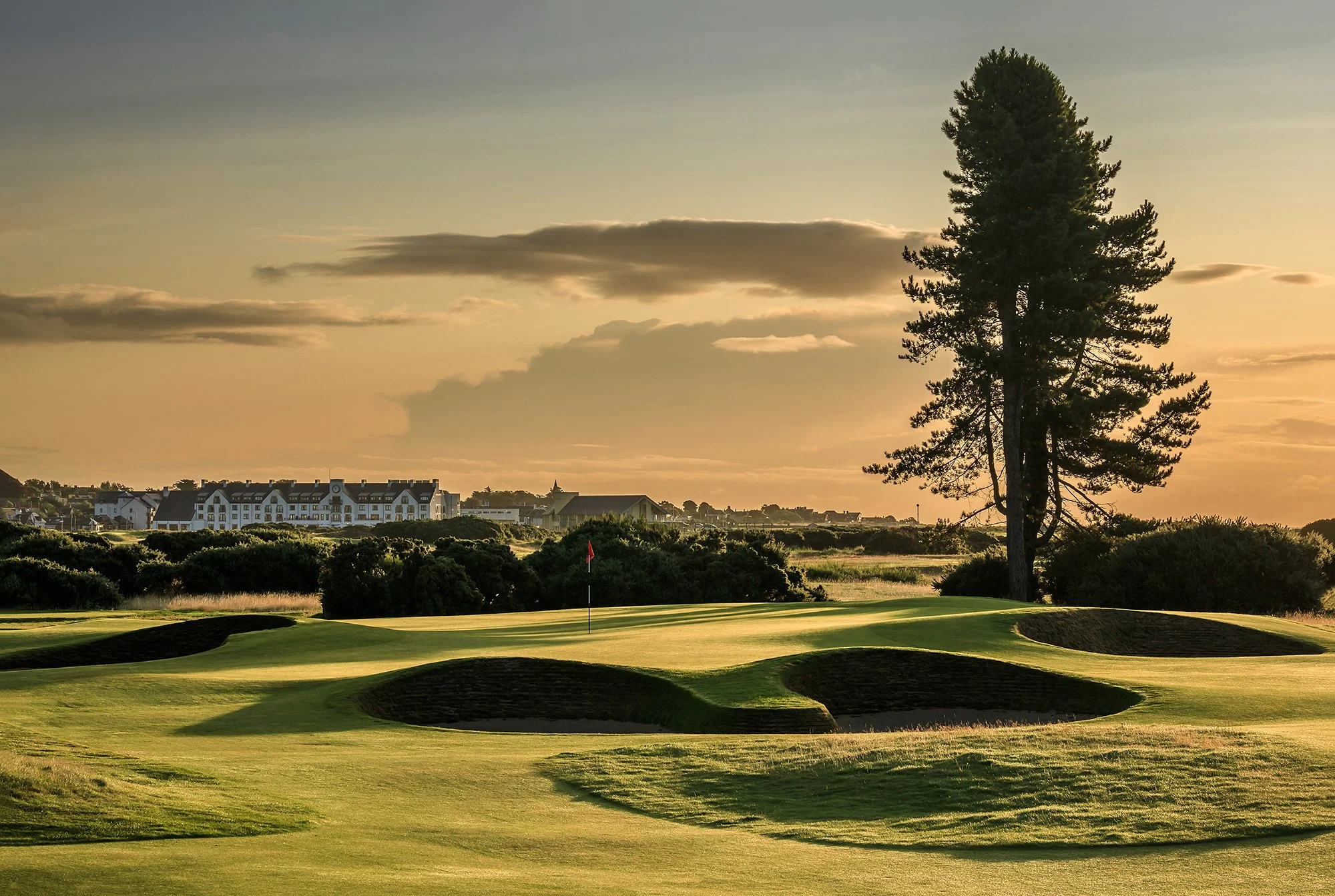 13. The Carnoustie Championship - 13th Hole - Whins.jpg