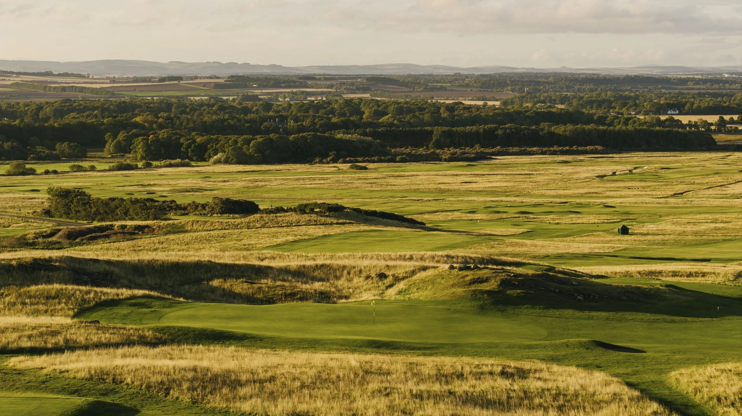 6th Green No 3.jpg