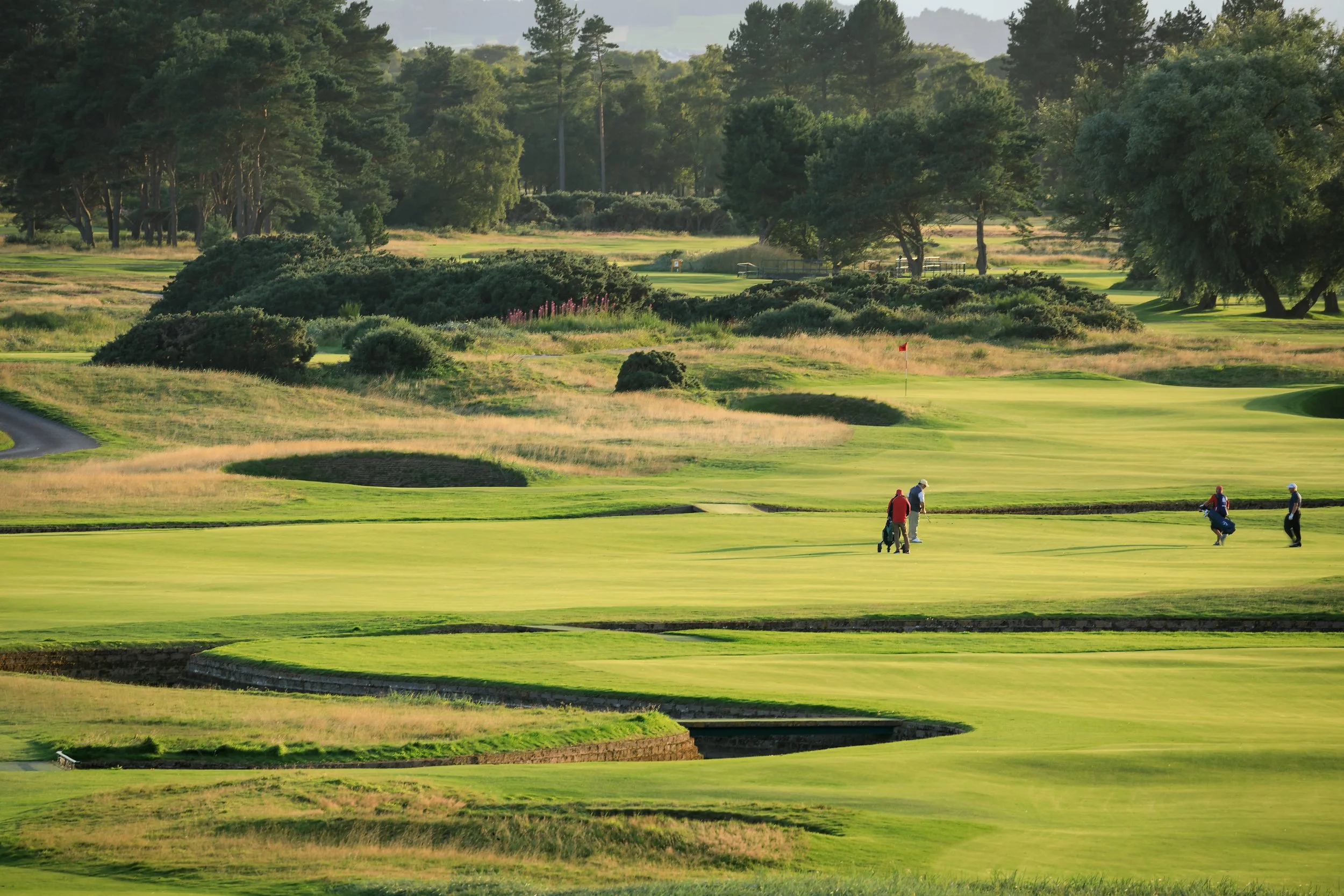 17. The Carnoustie Championship - 17th Hole - Island.jpg