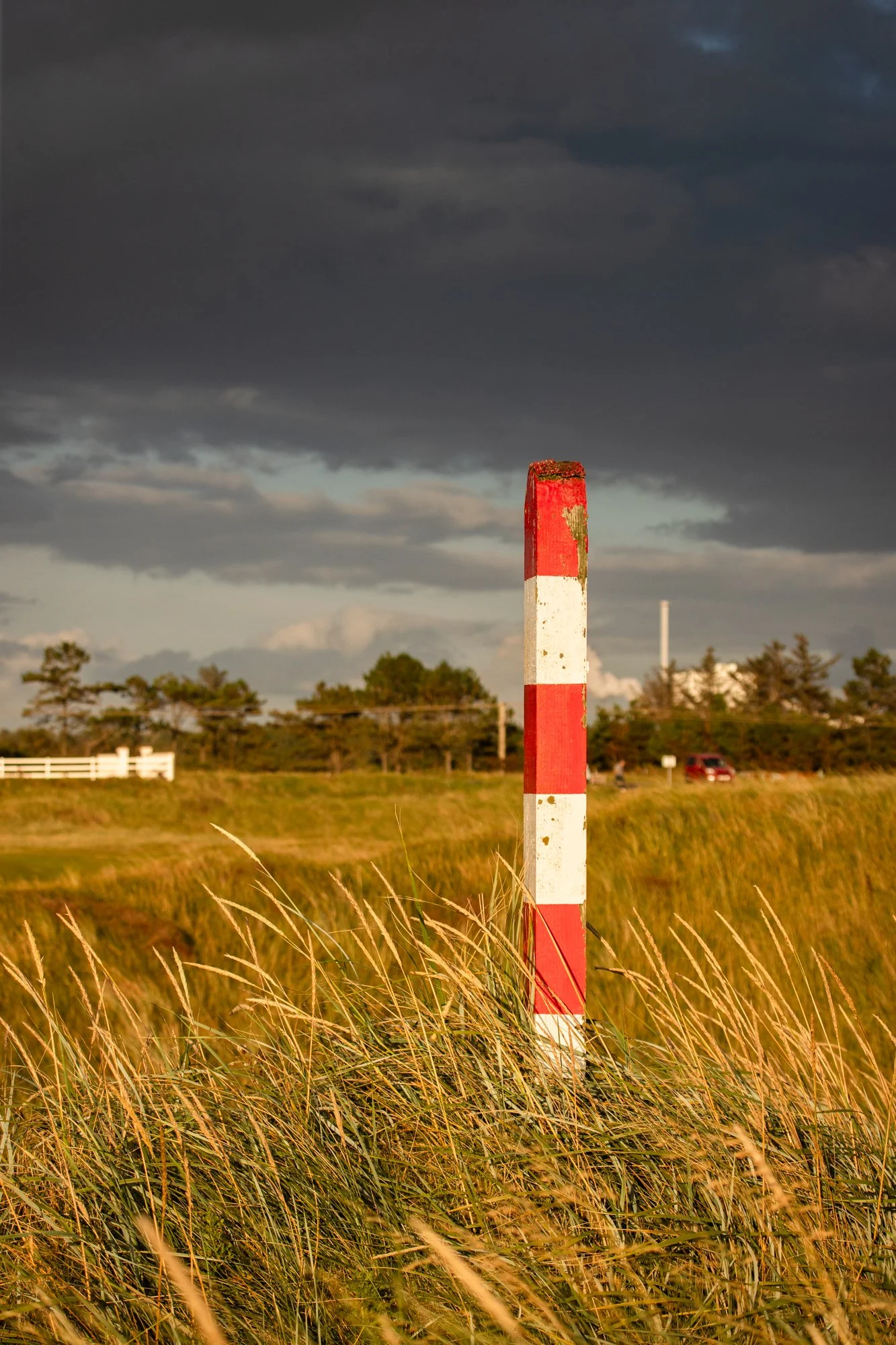 SGP-WESTERNGAILES-83.jpg