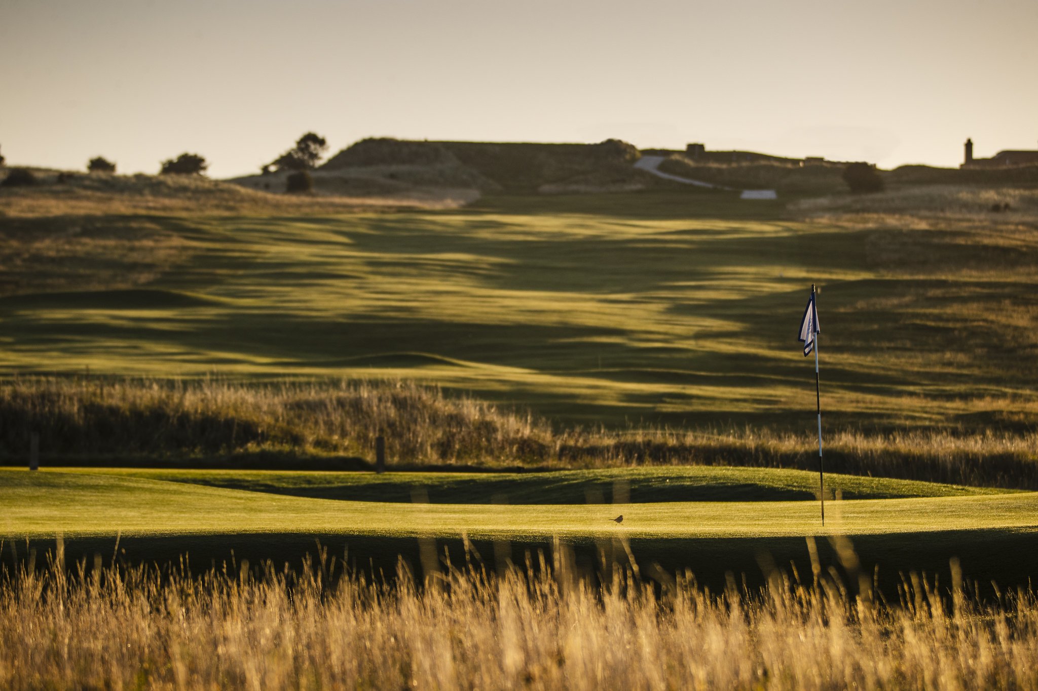 17th Green No 1.jpg