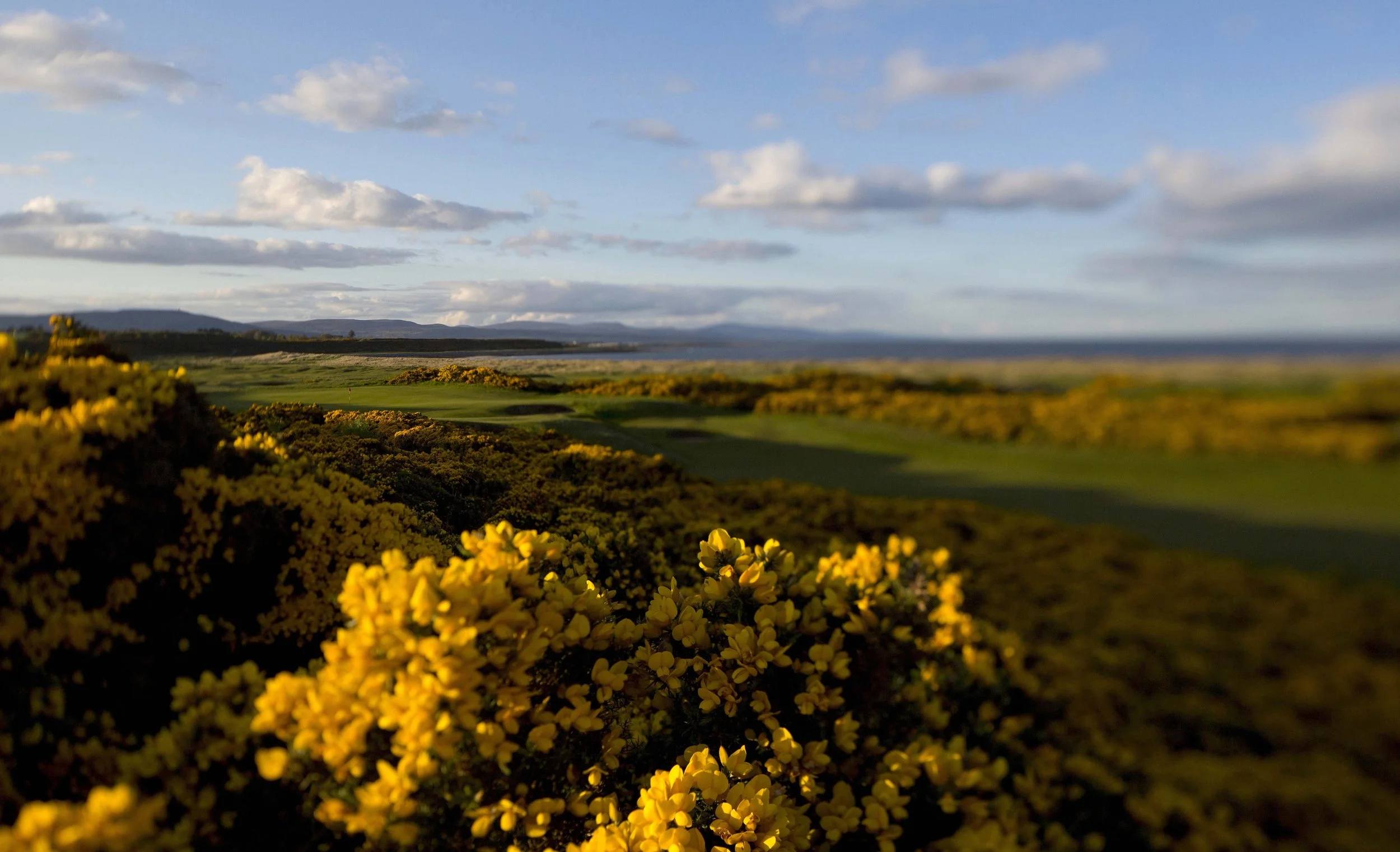 ©Mharris_RDchamps_17th_Par4_2331_Lres.jpg