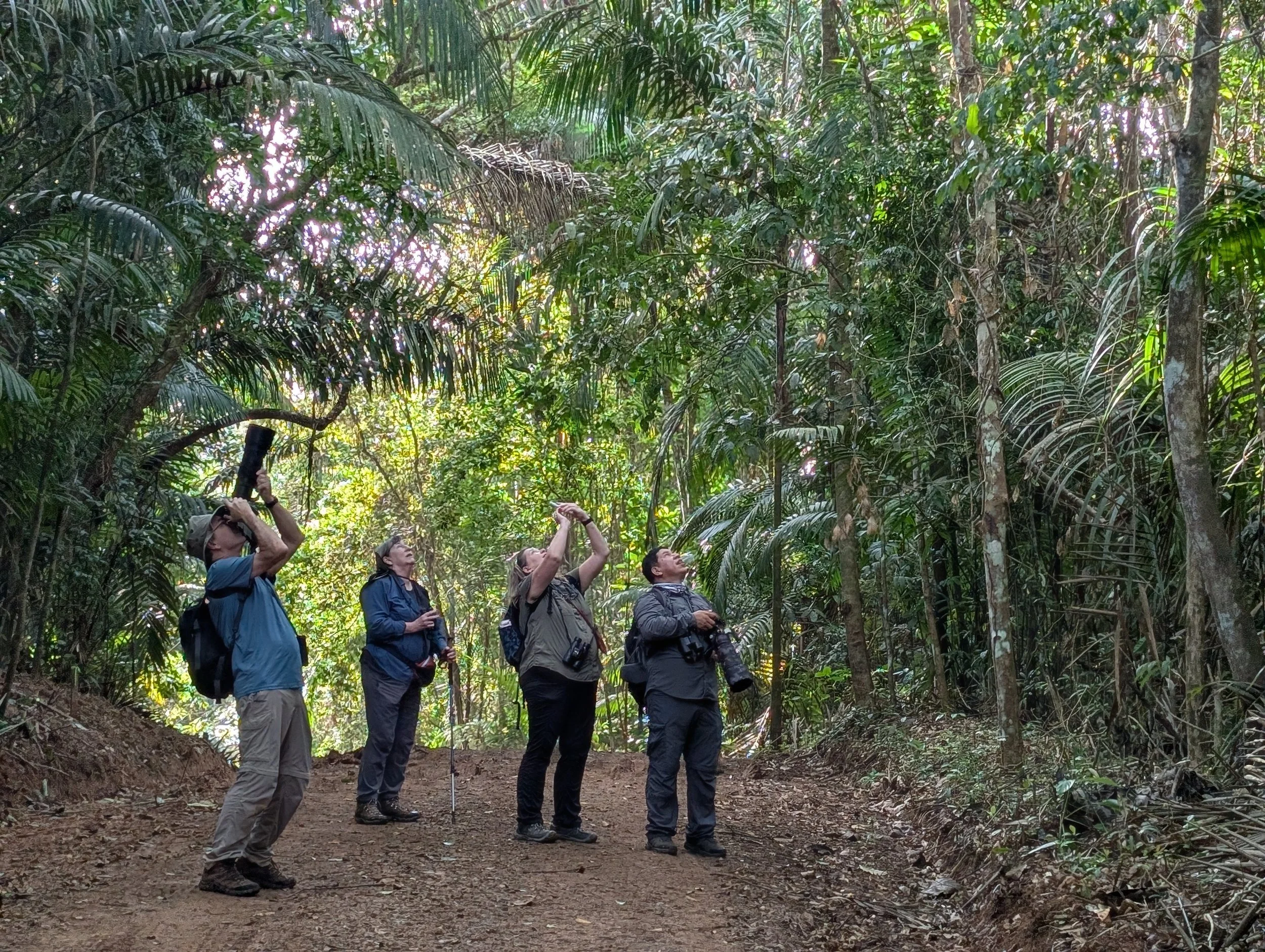 Birding Pipeline Road