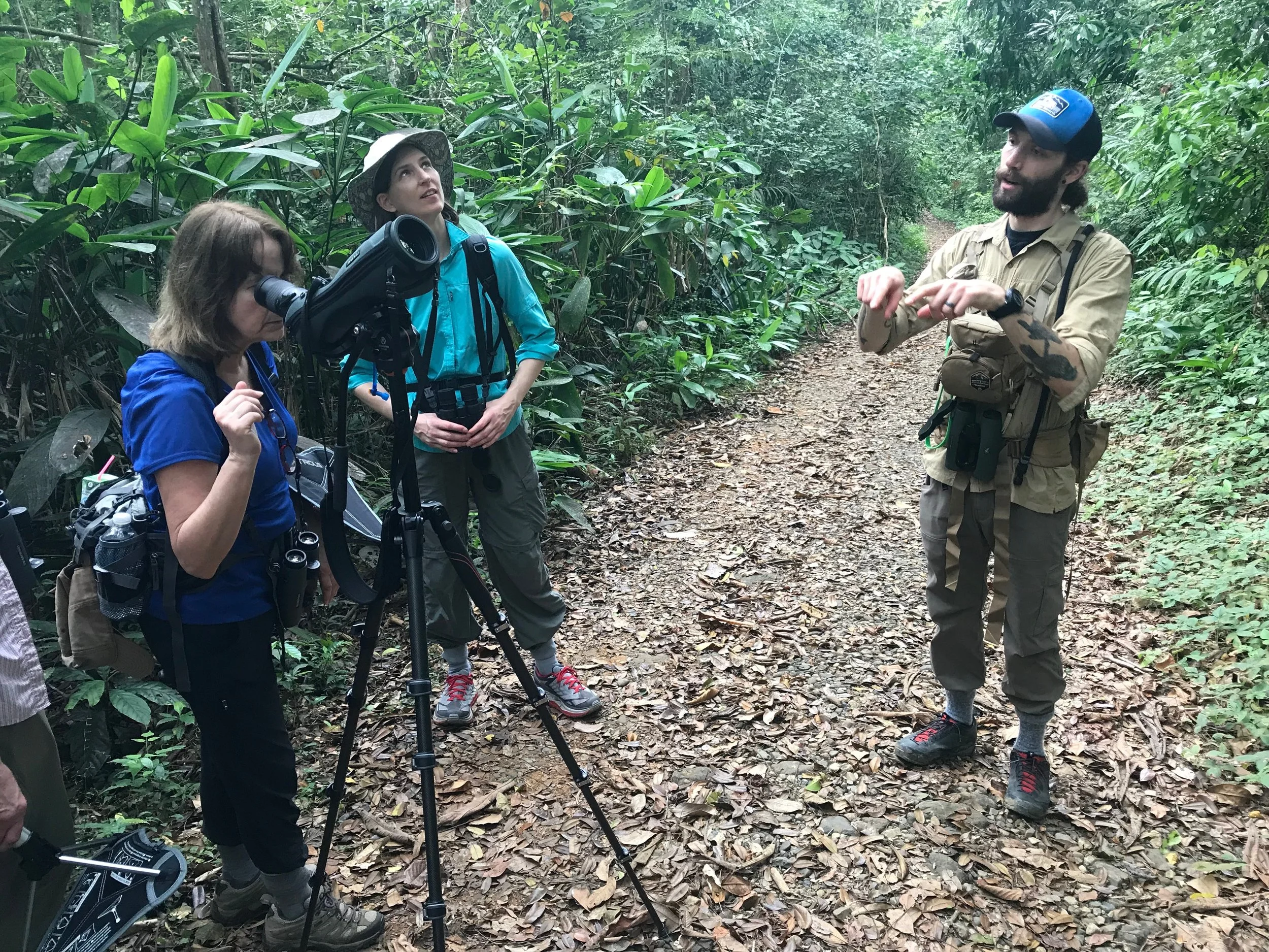 Education alongside birding