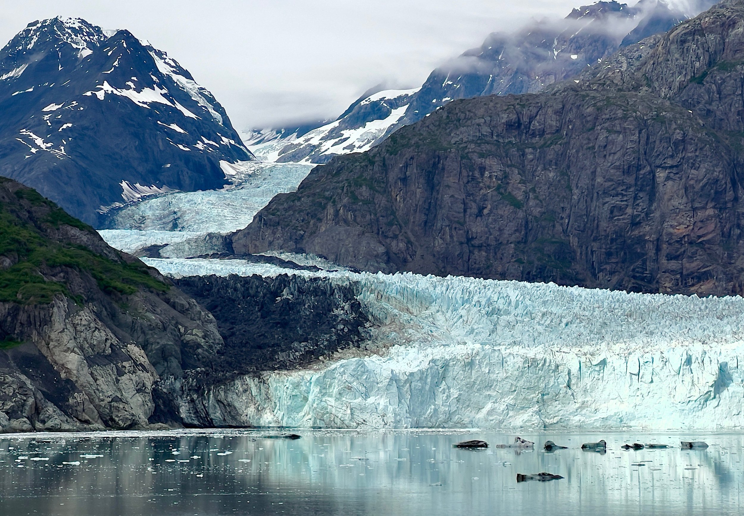 nwimagesbysabrinae-icebergs-8430043.jpg
