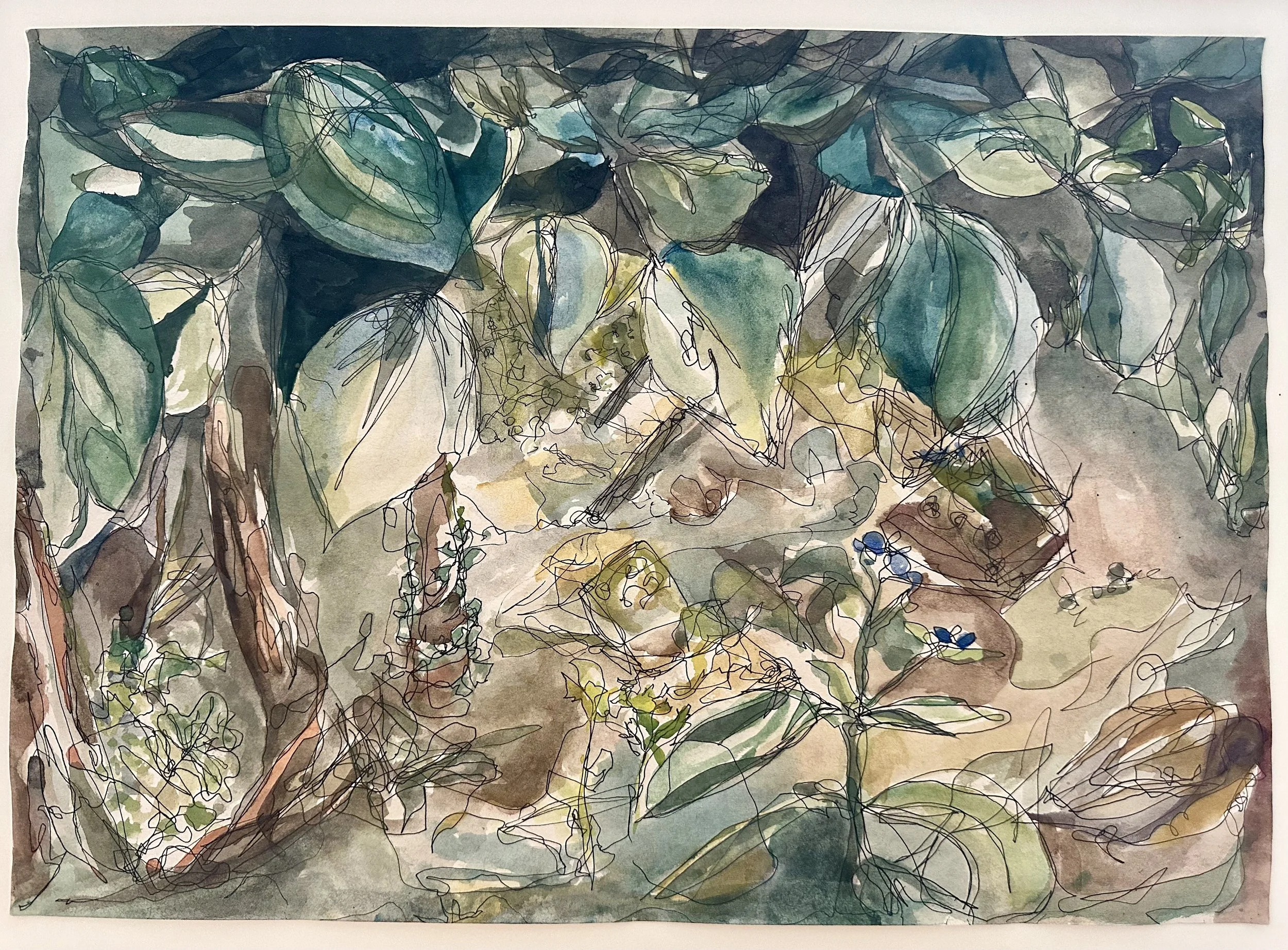 Seeing the wood for the trees