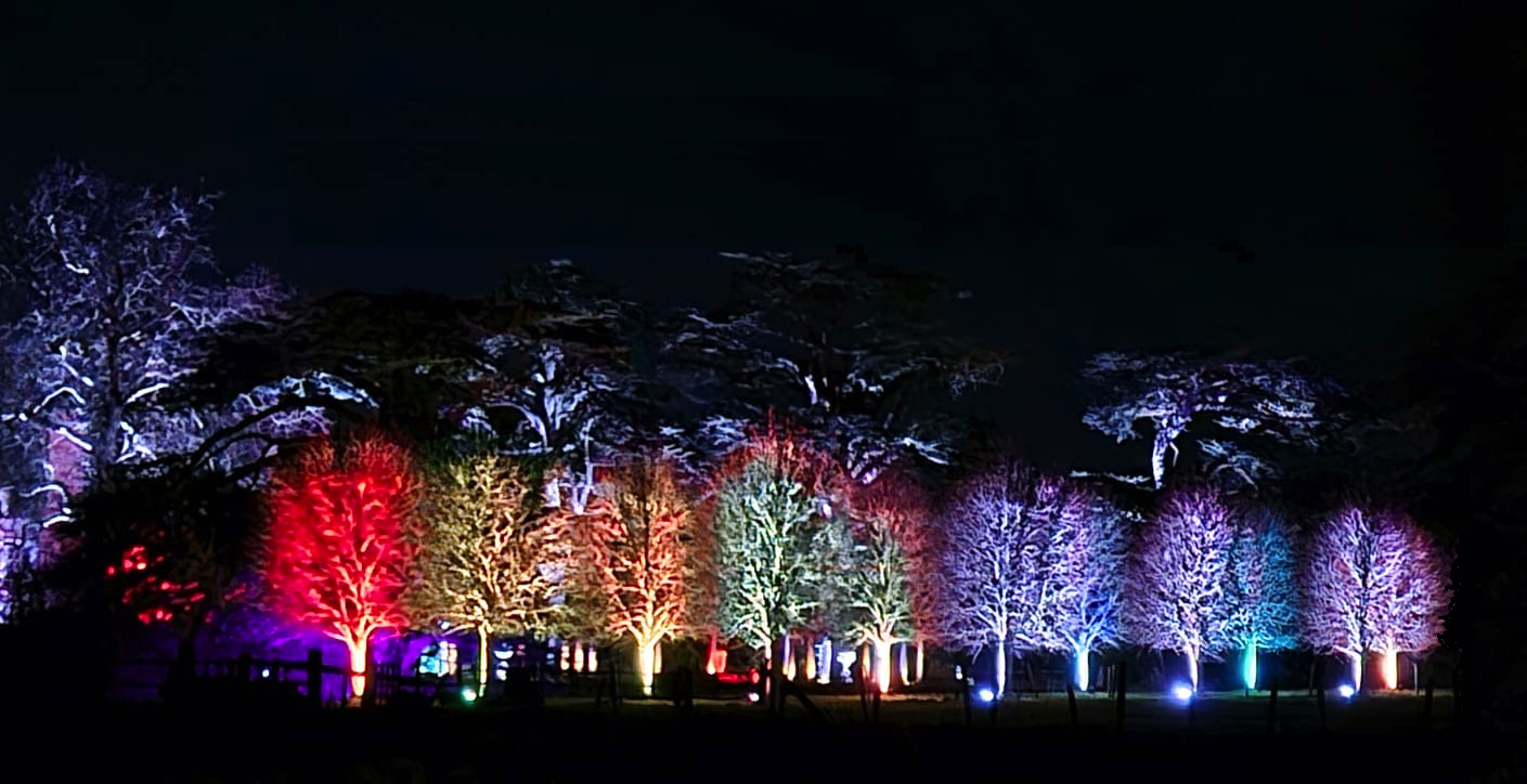 Enchanted Garden pic .png