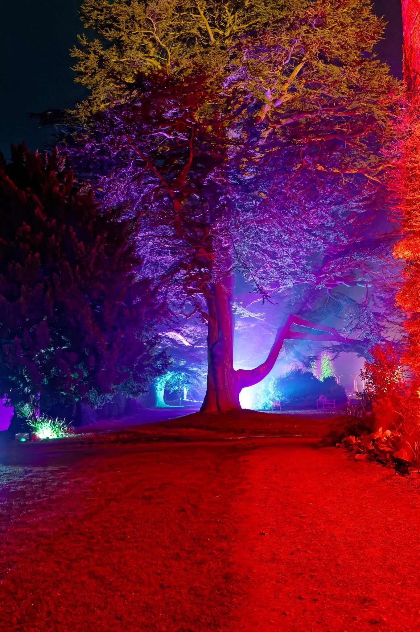 WhatsApp Image 2024-12-14 at 22.22.49 (2).jpeg