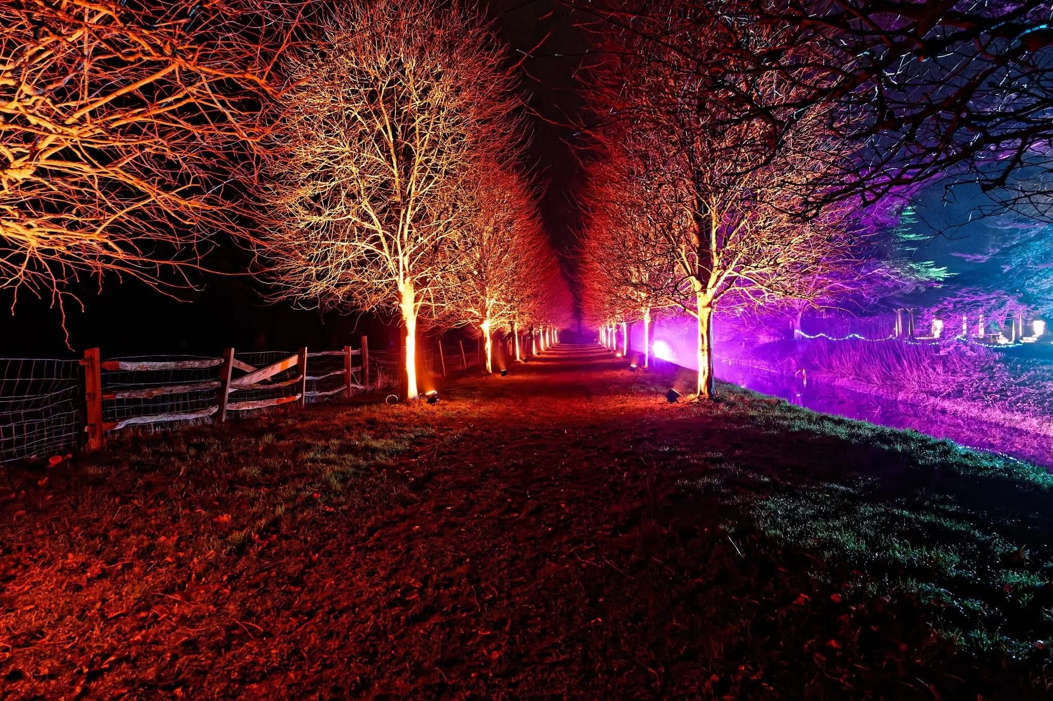 WhatsApp Image 2024-12-14 at 22.22.55.jpeg