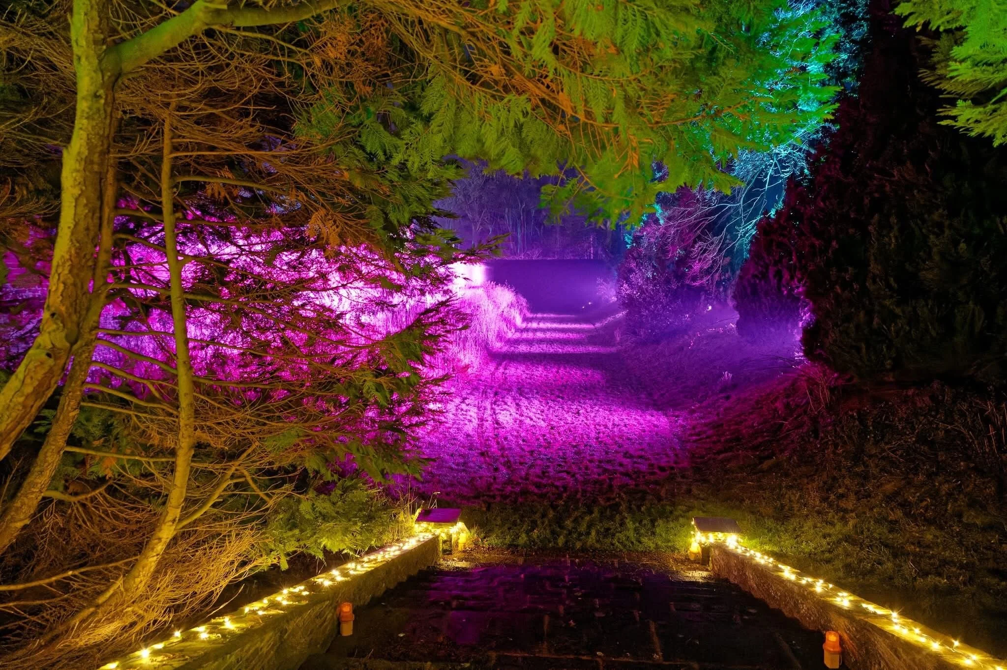 WhatsApp Image 2024-12-14 at 22.22.54.jpeg