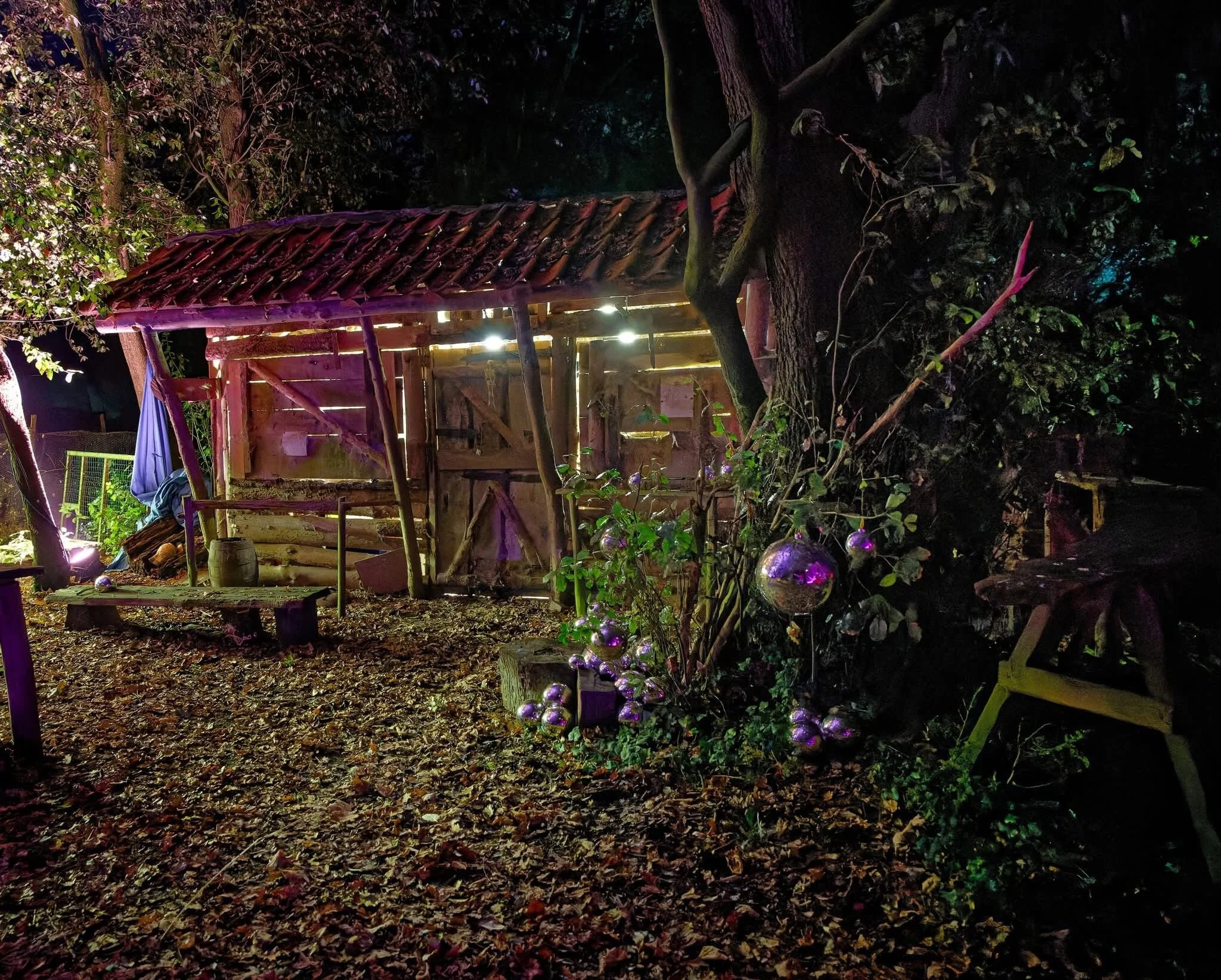 WhatsApp Image 2024-12-14 at 22.22.49 (4).jpeg