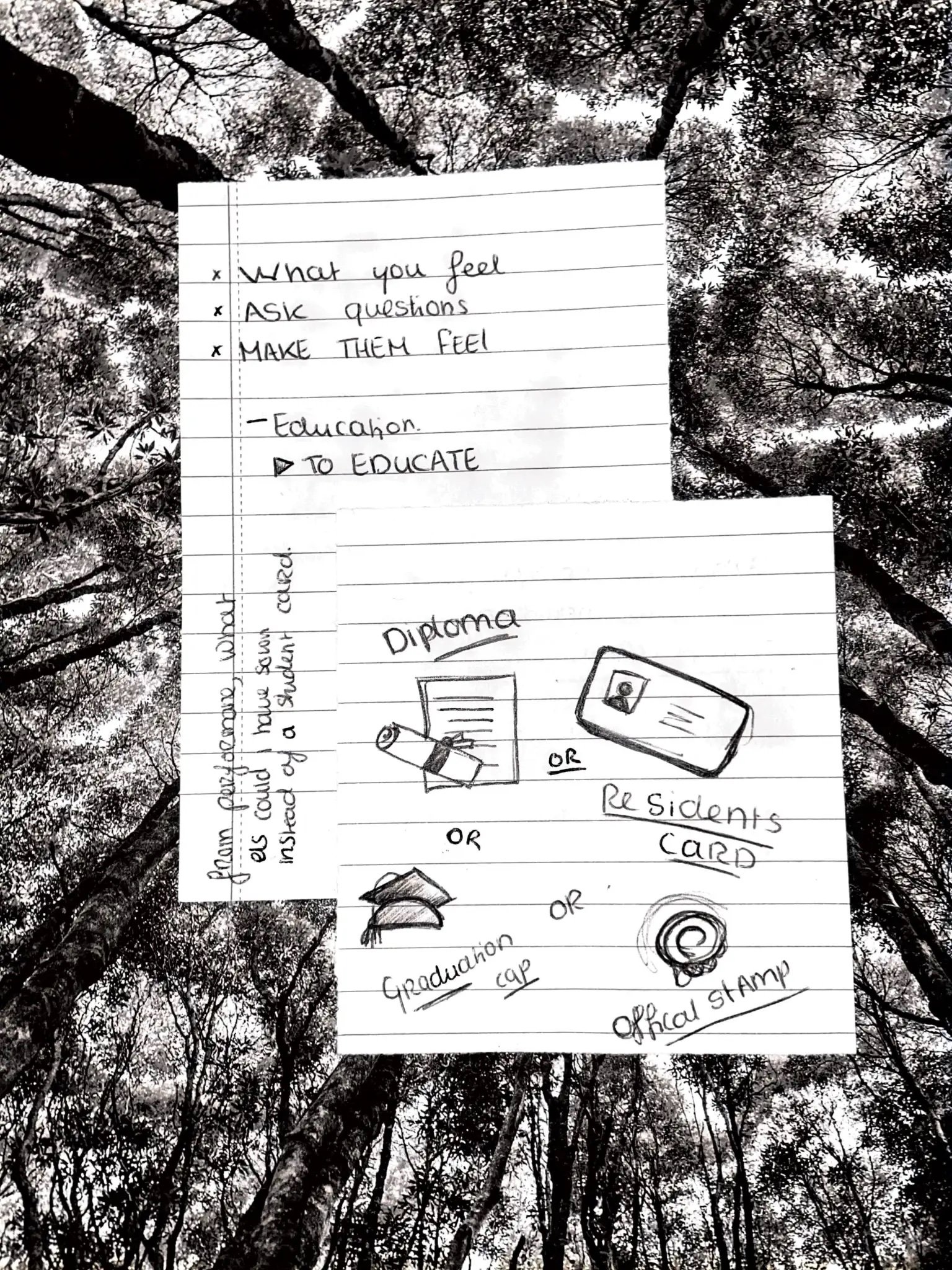 sketches_page_5.jpeg